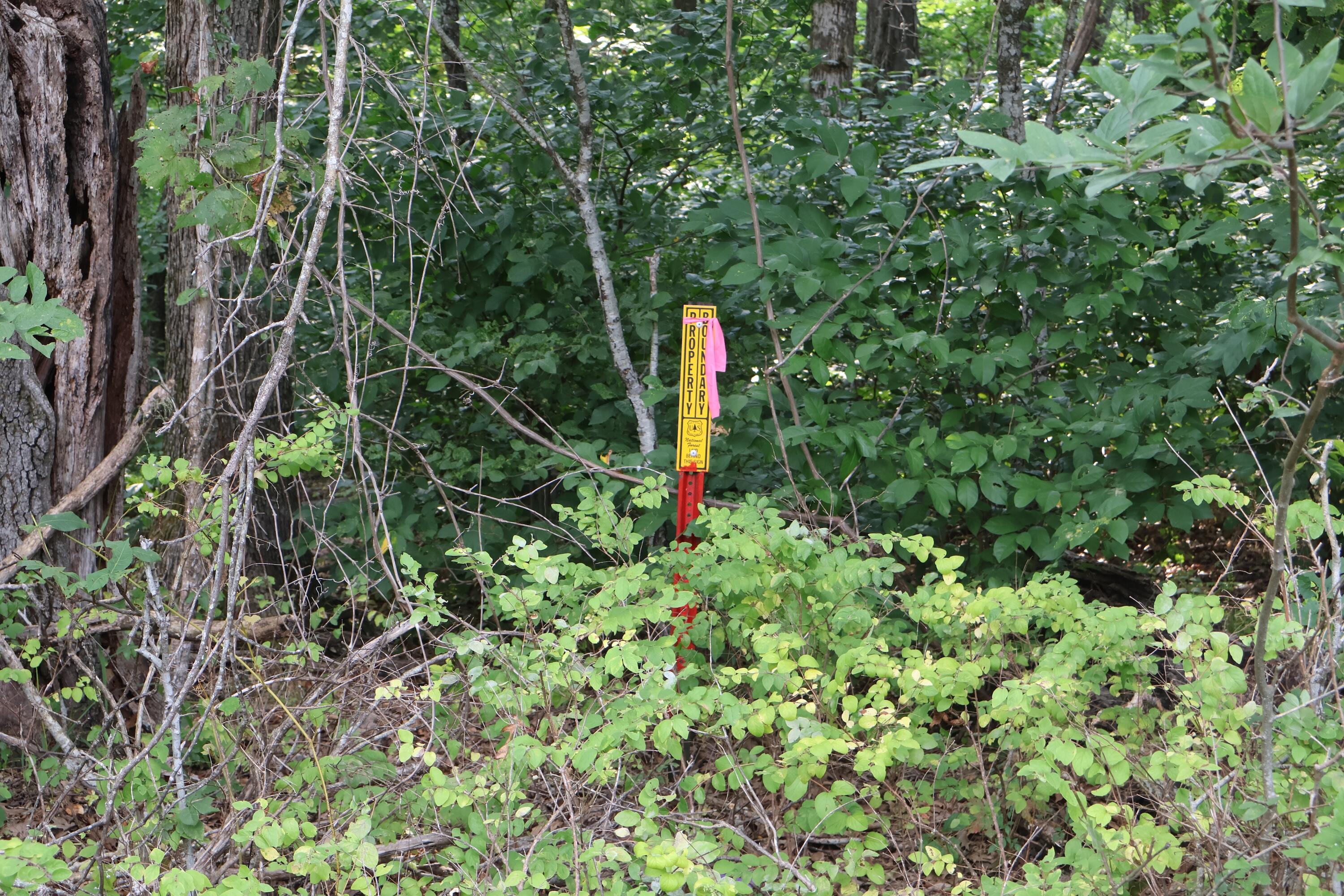 000 Red Bridge Rd Property Photo 18