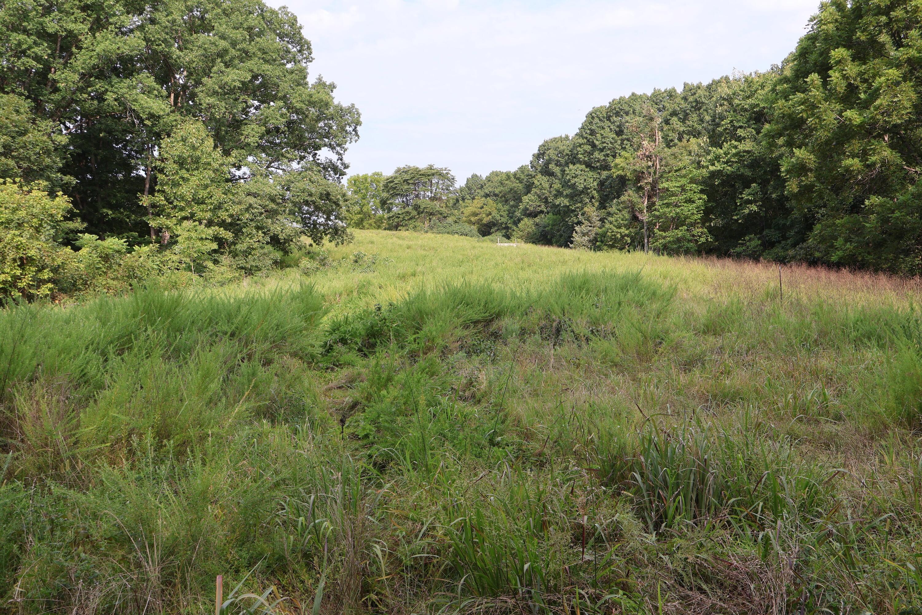 000 Red Bridge Rd Property Photo 20