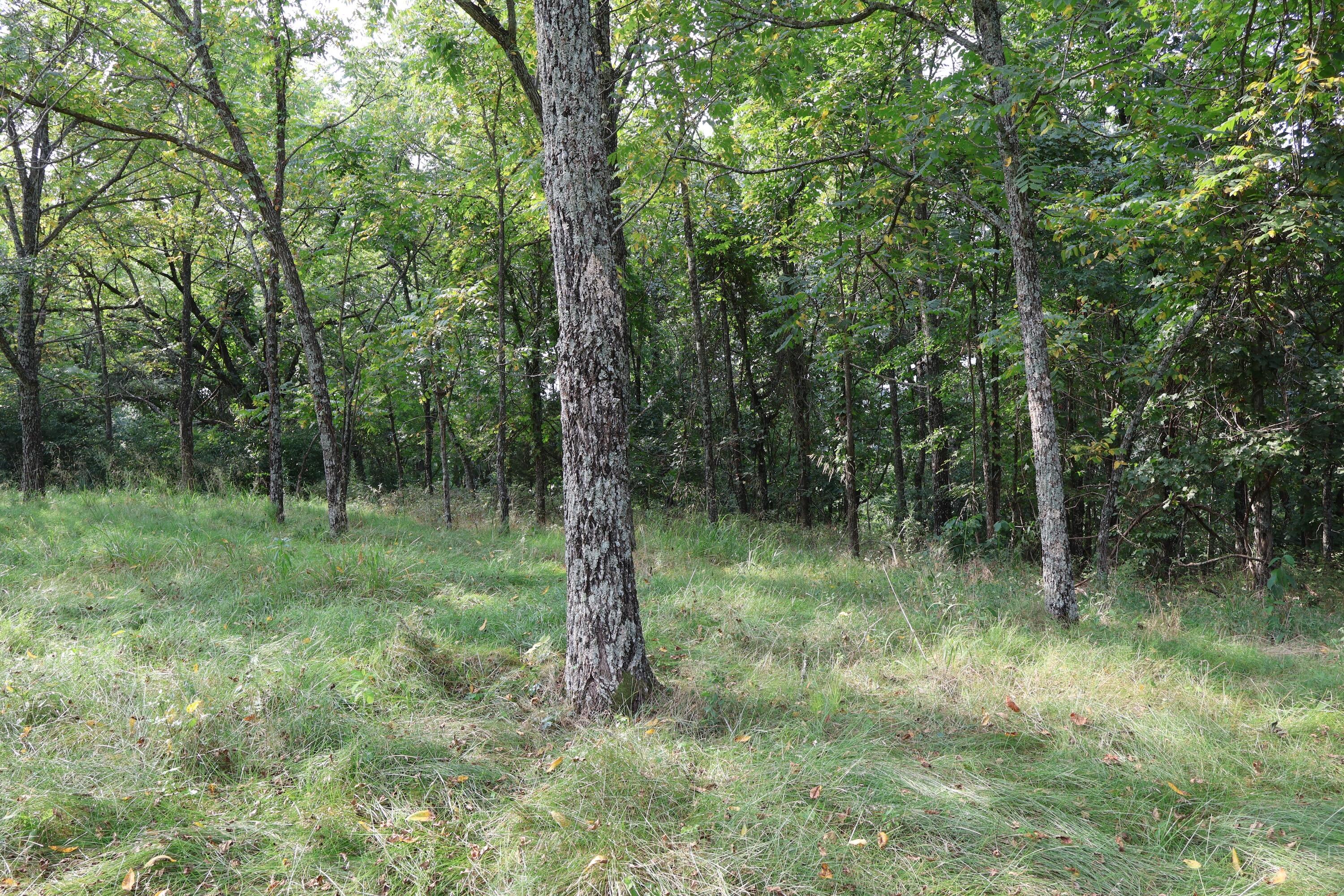 000 Red Bridge Rd Property Photo 29