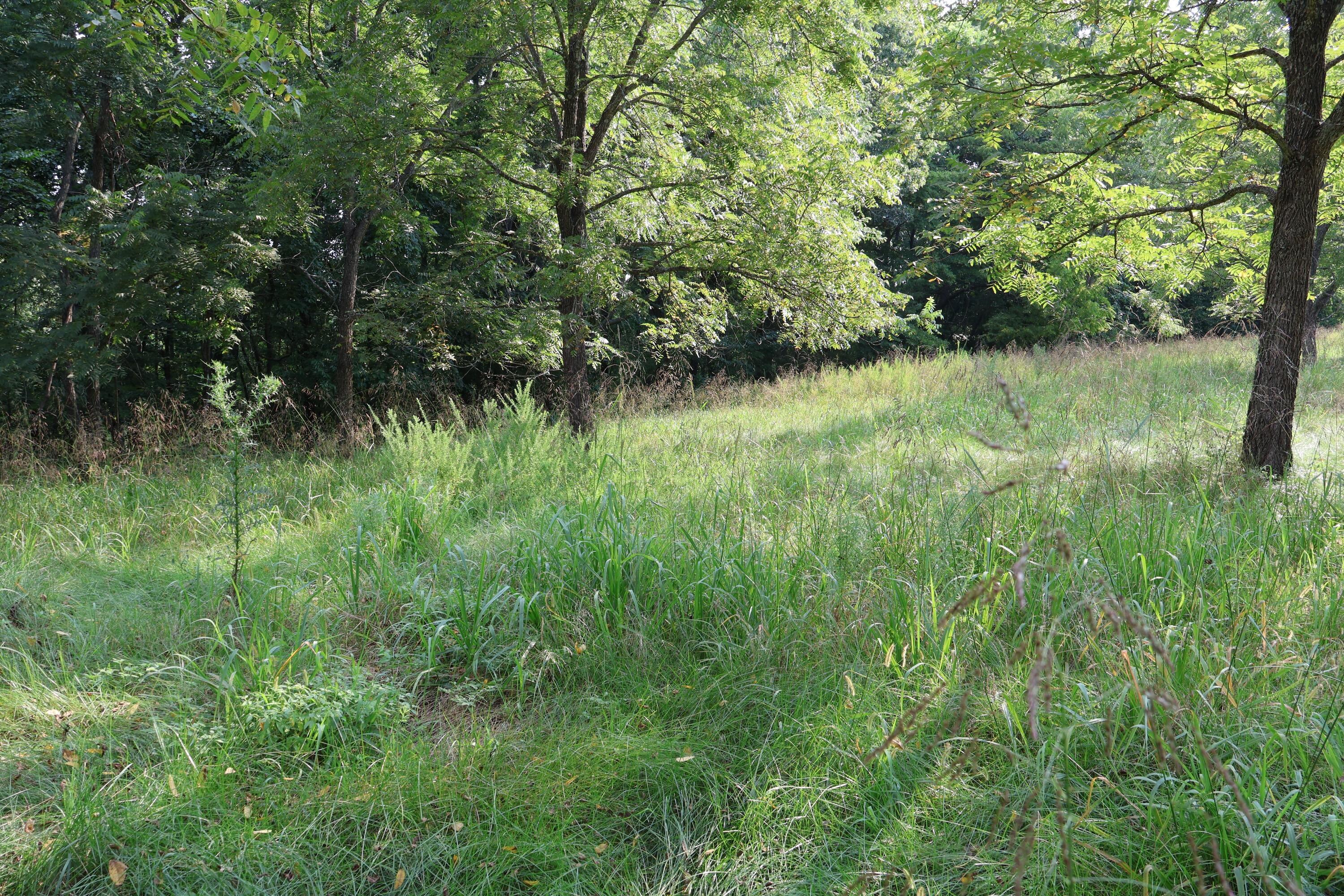 000 Red Bridge Rd Property Photo 31