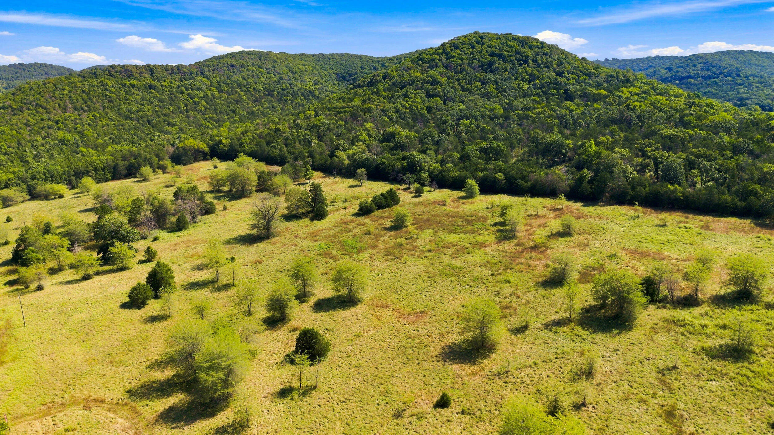 23262 State Highway M Property Photo 3