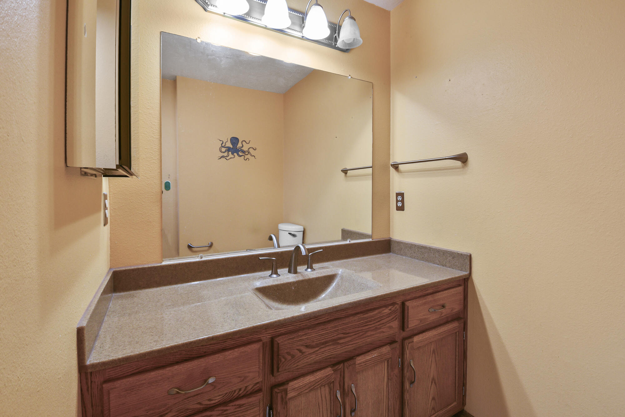 221 East New Melville Road Property Photo 21