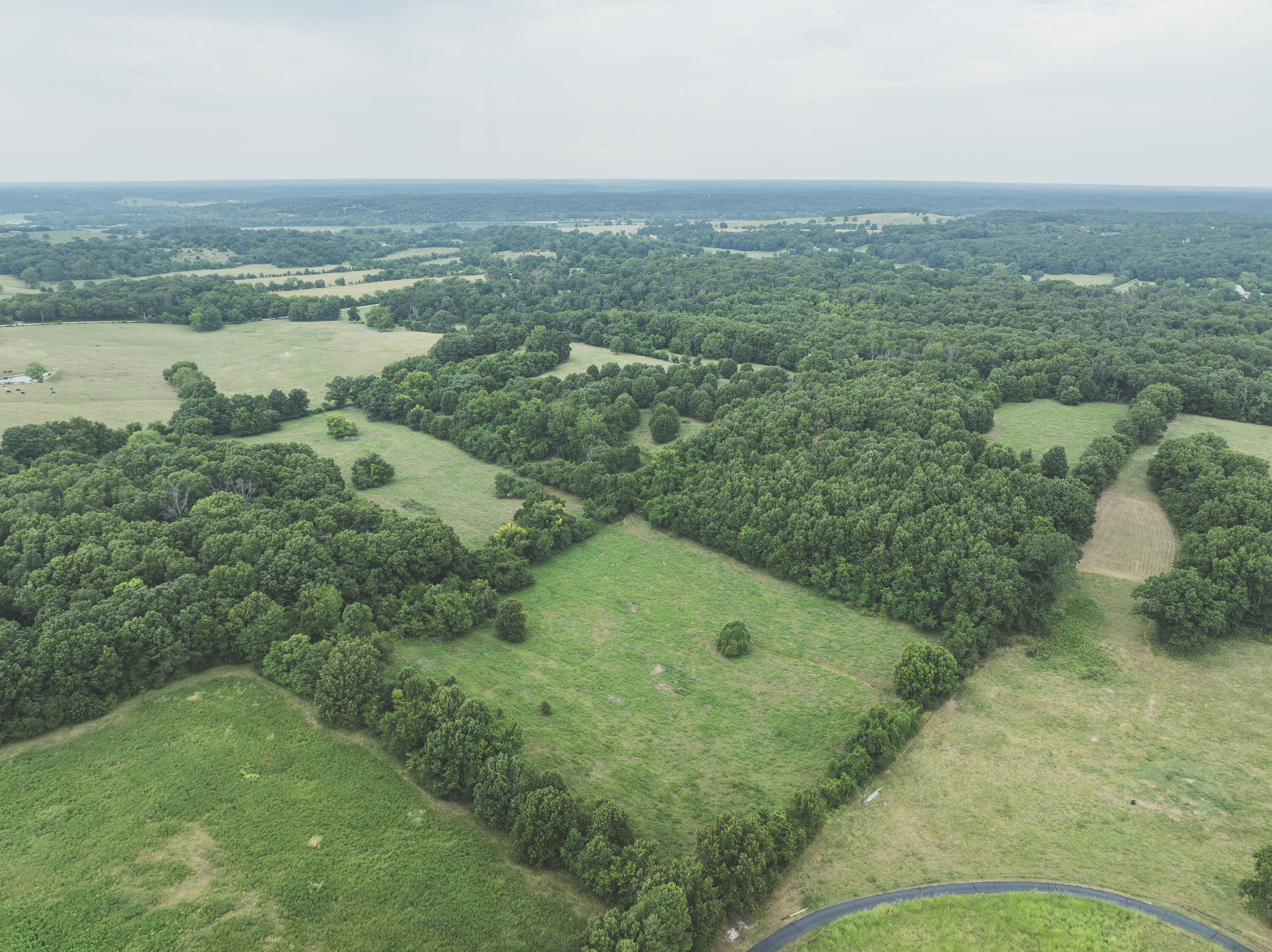 12471 Mallard Drive Property Photo 3