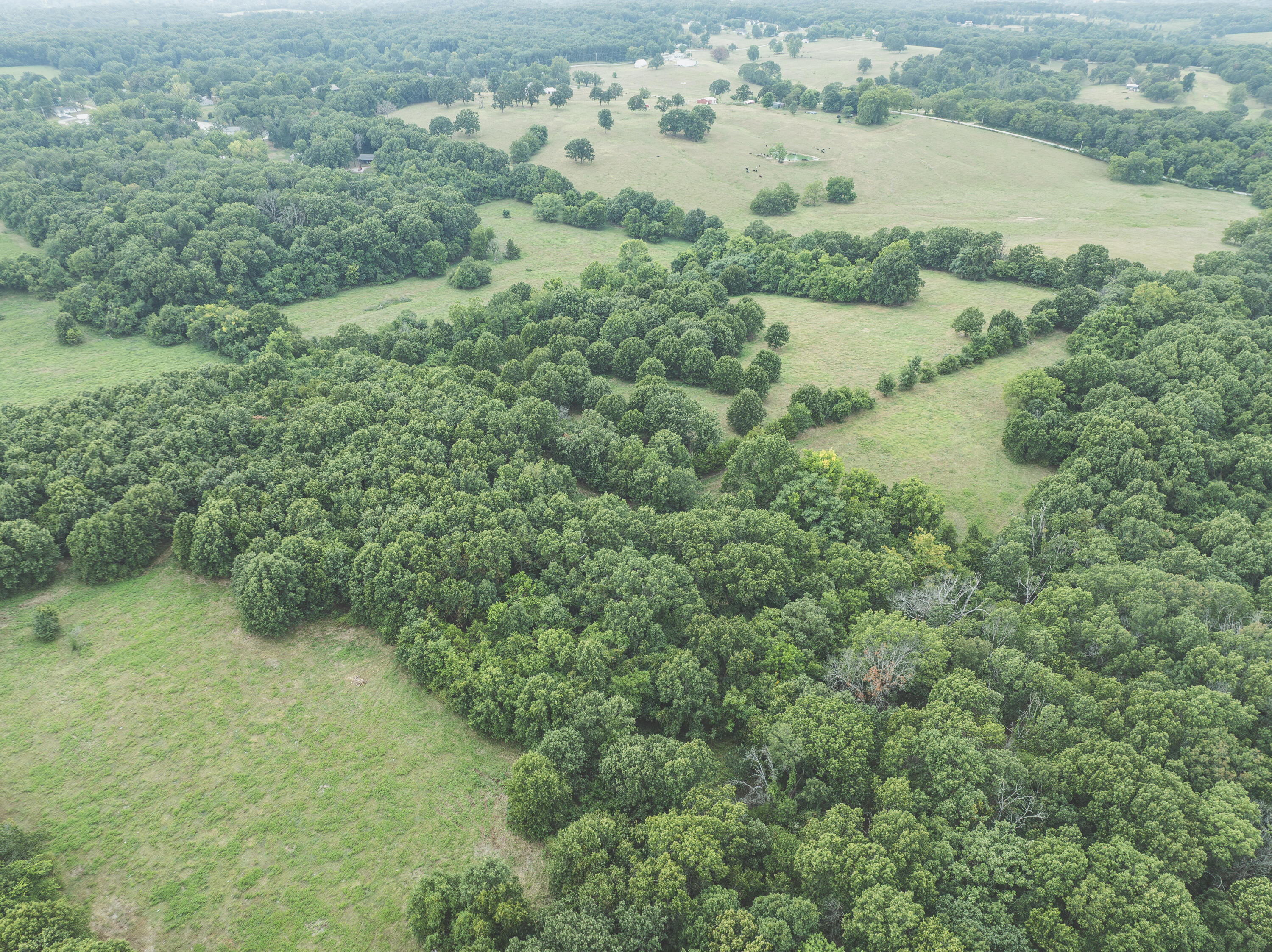 12471 Mallard Drive Property Photo 4