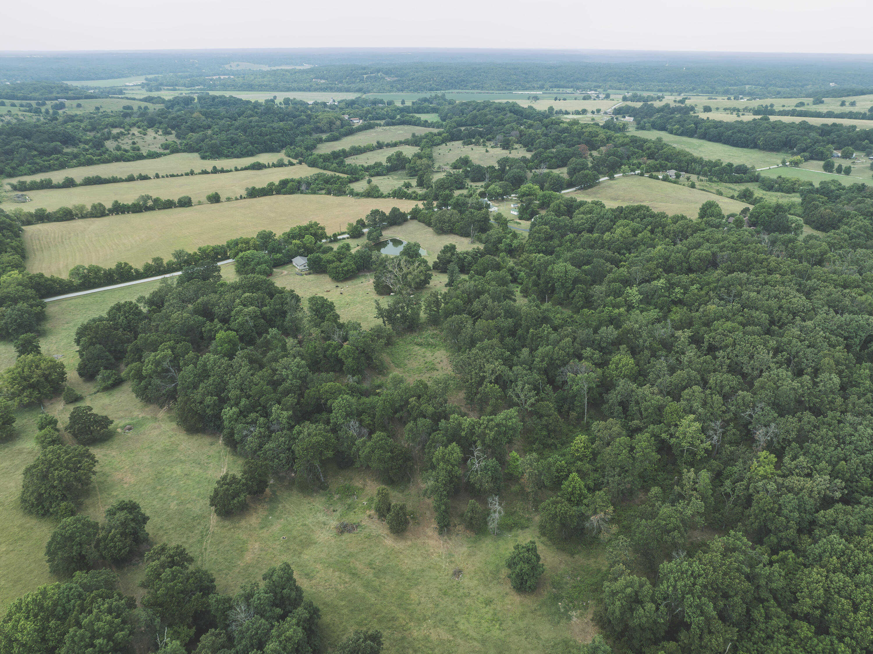 12471 Mallard Drive Property Photo 5
