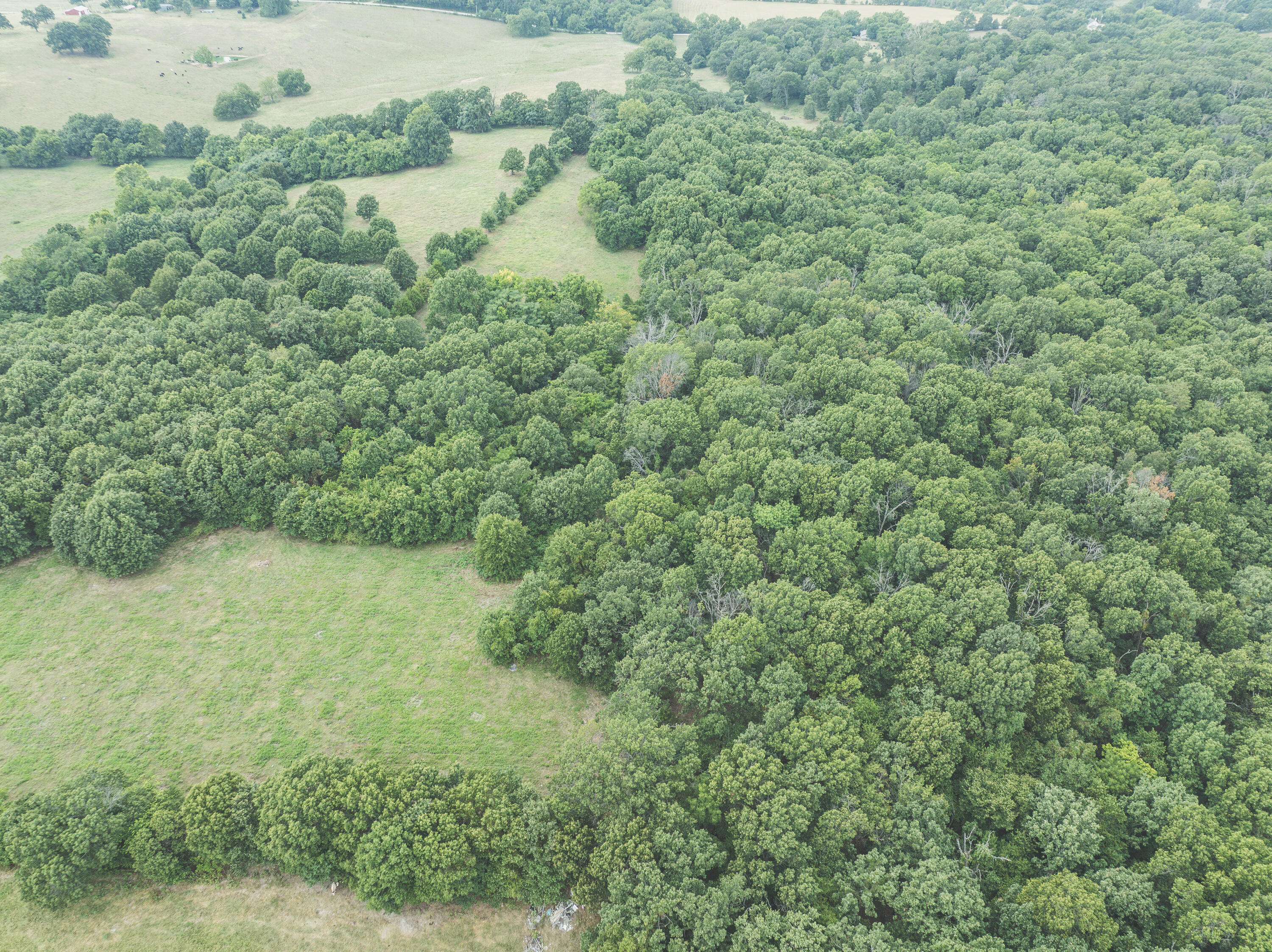 12471 Mallard Drive Property Photo 7