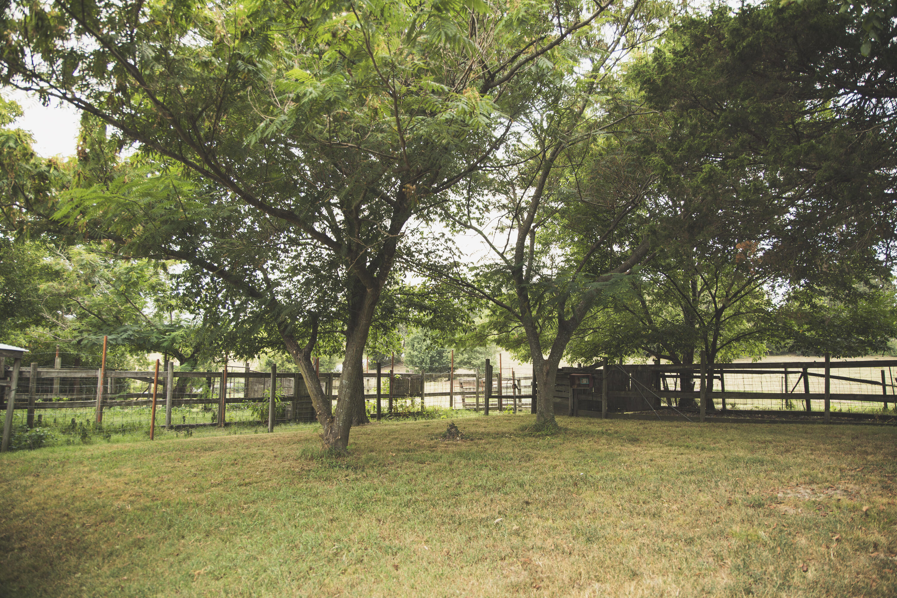 12471 Mallard Drive Property Photo 9