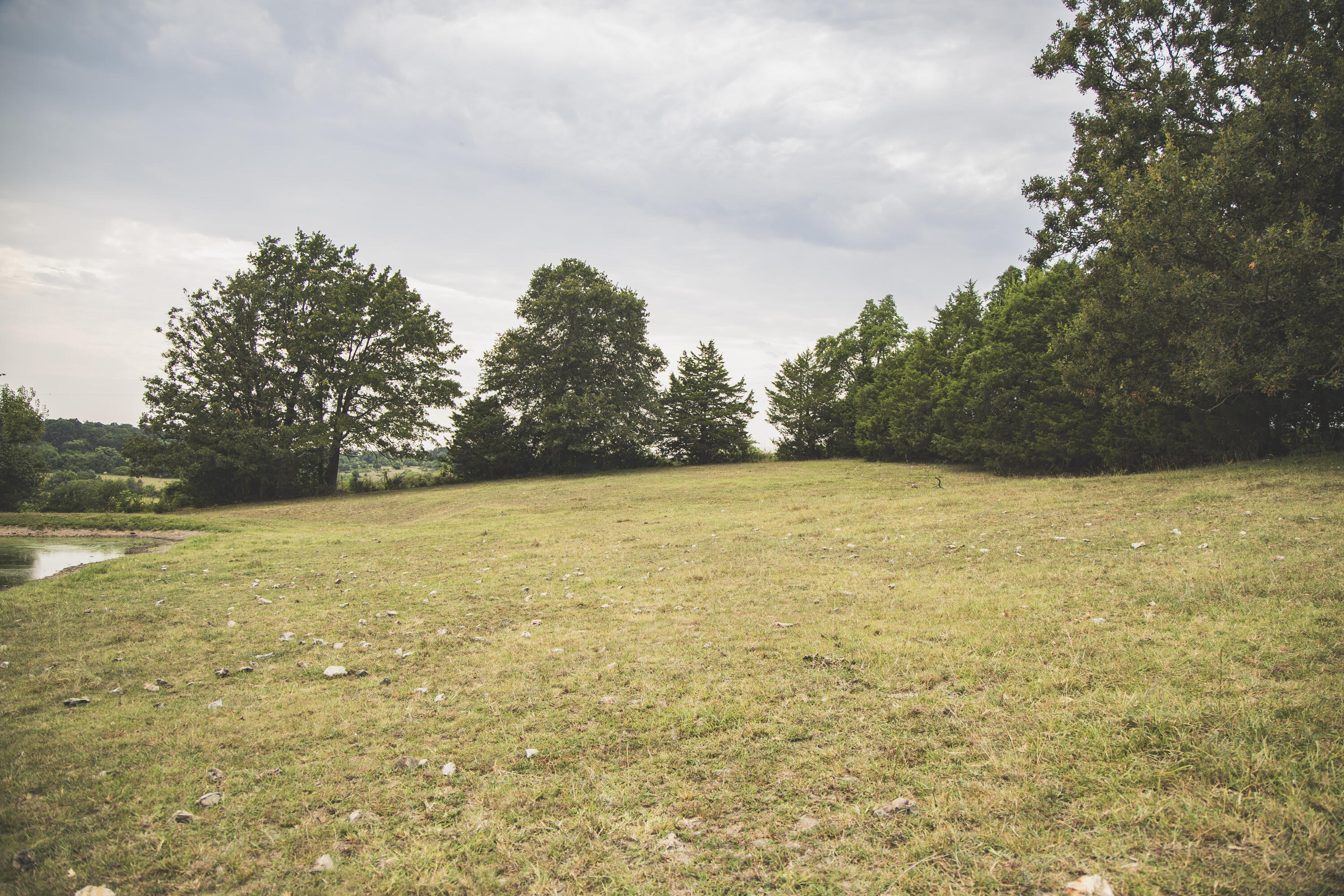 12471 Mallard Drive Property Photo 15