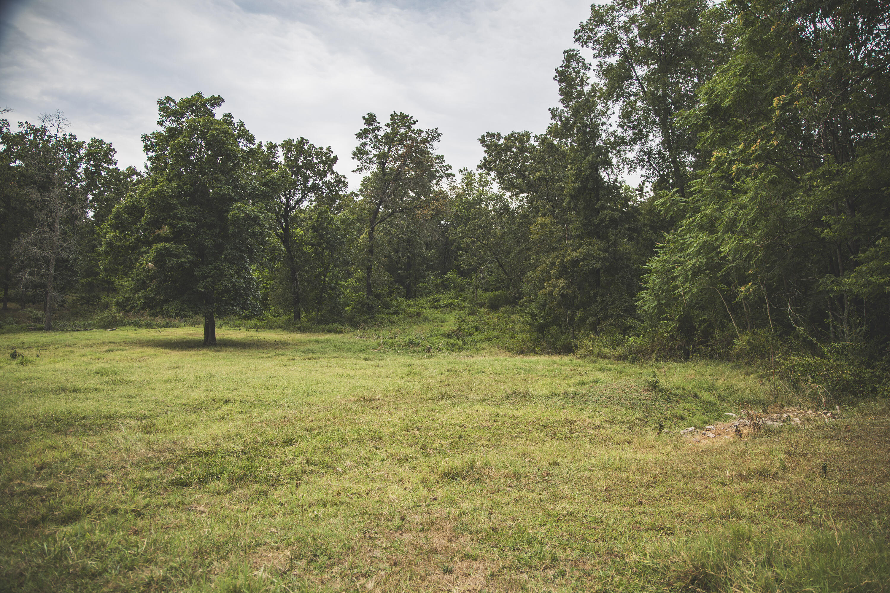 12471 Mallard Drive Property Photo 20