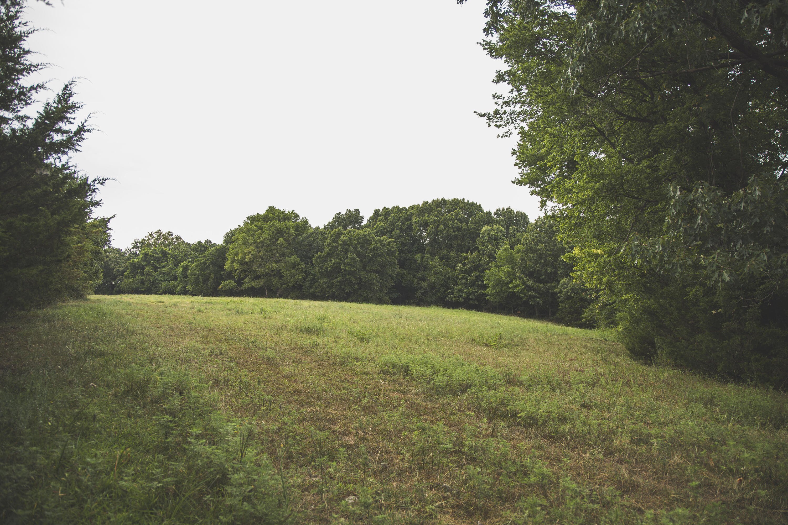 12471 Mallard Drive Property Photo 27