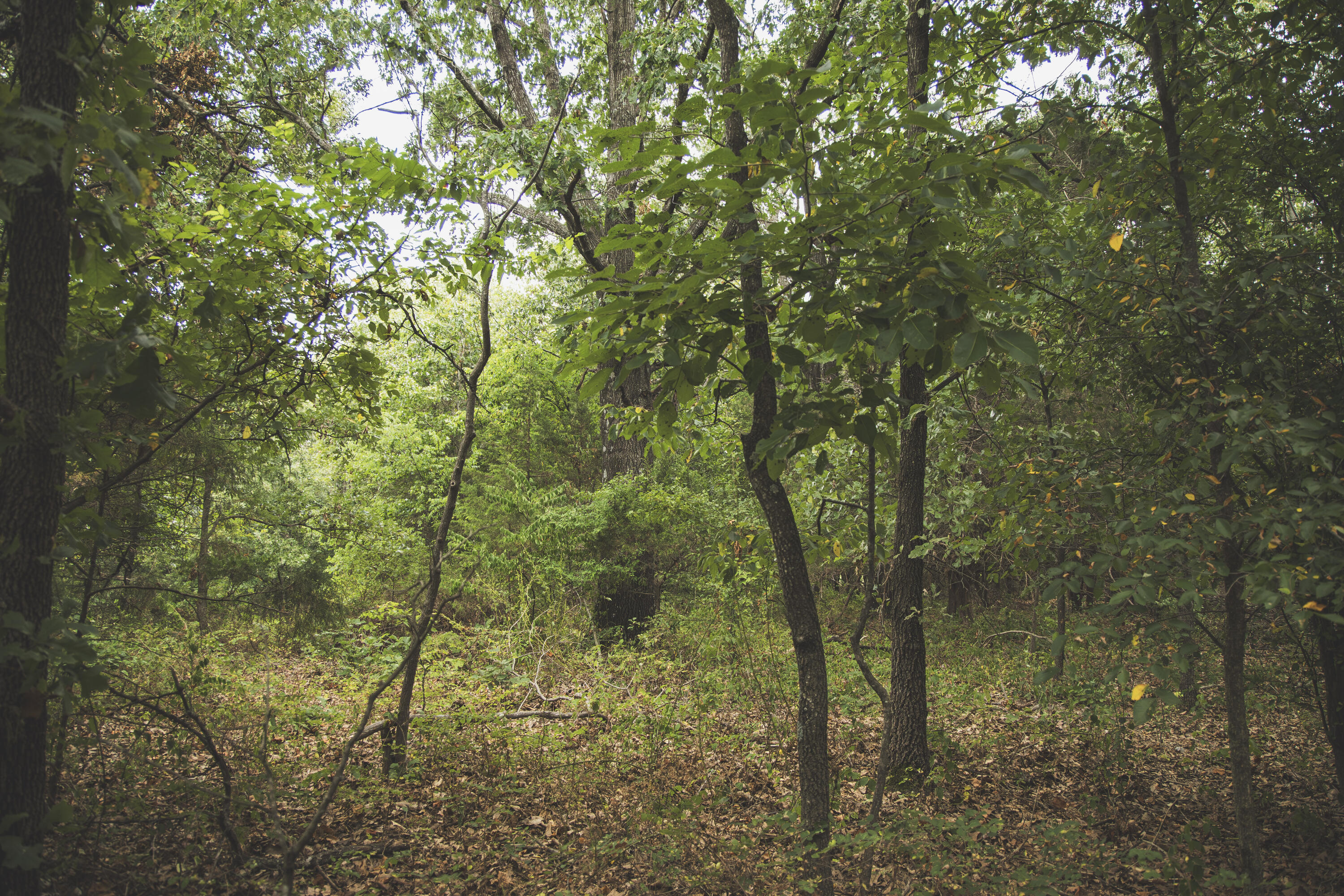12471 Mallard Drive Property Photo 30