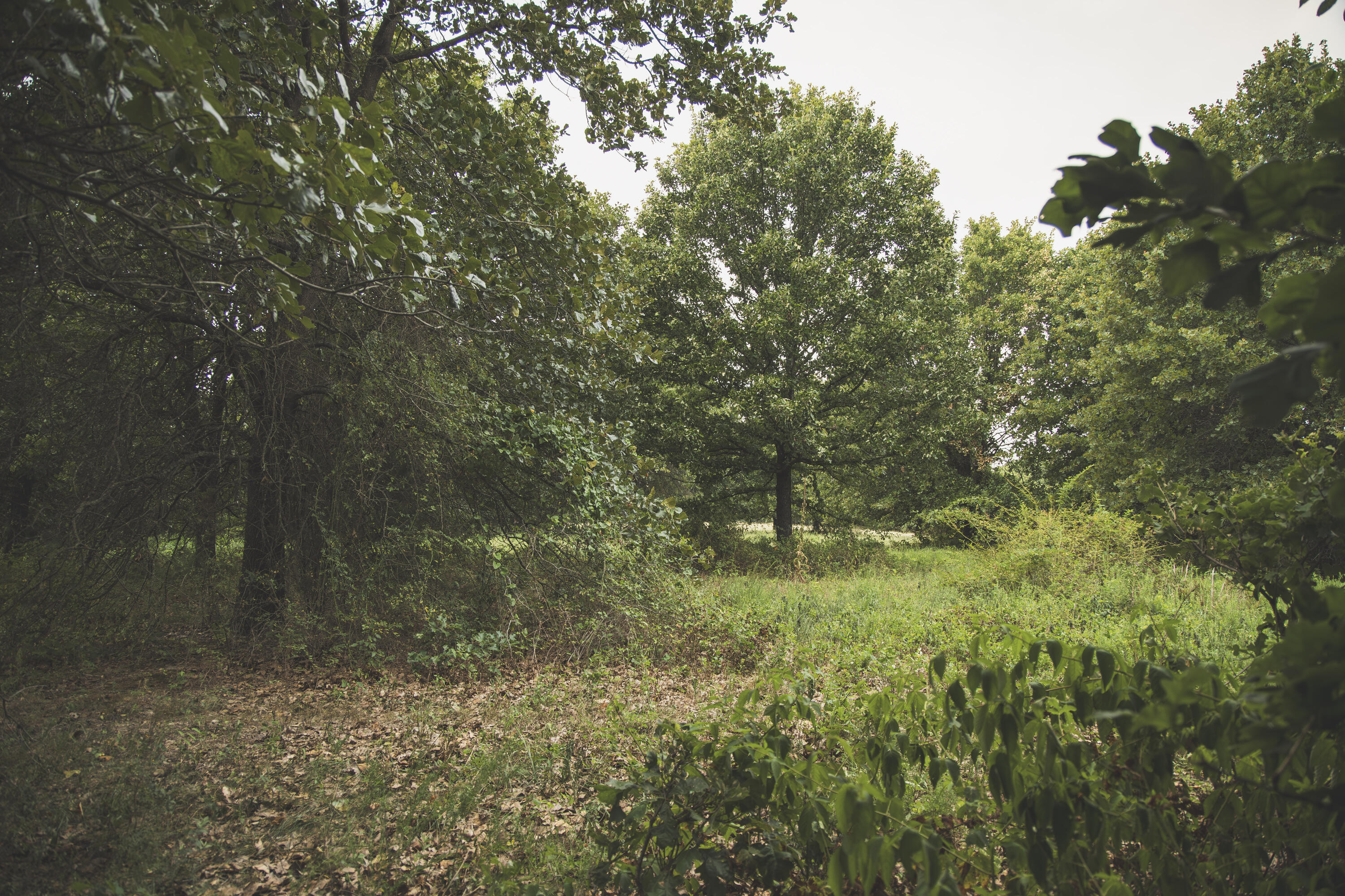 12471 Mallard Drive Property Photo 31