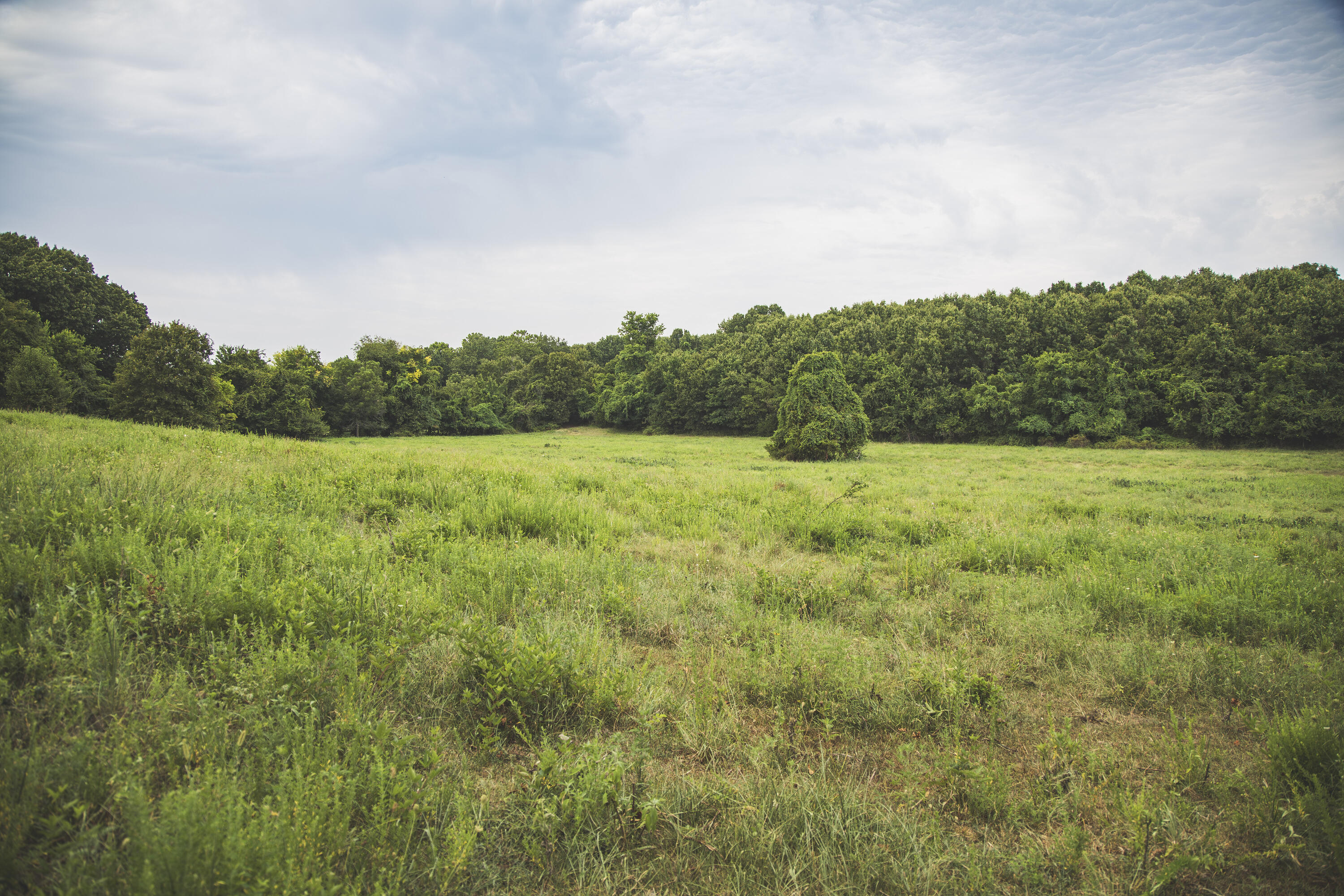 12471 Mallard Drive Property Photo 40