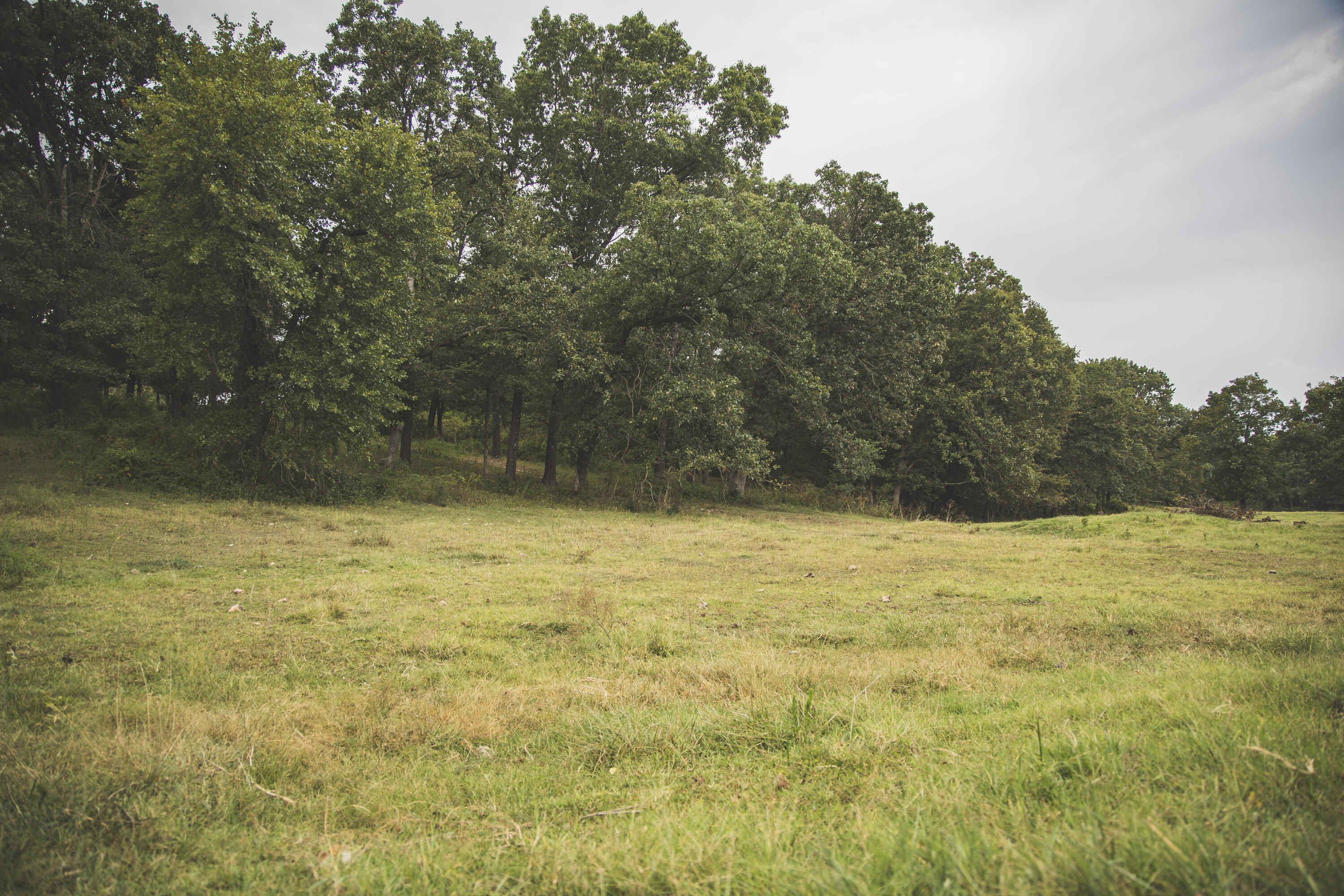 12471 Mallard Drive Property Photo 41