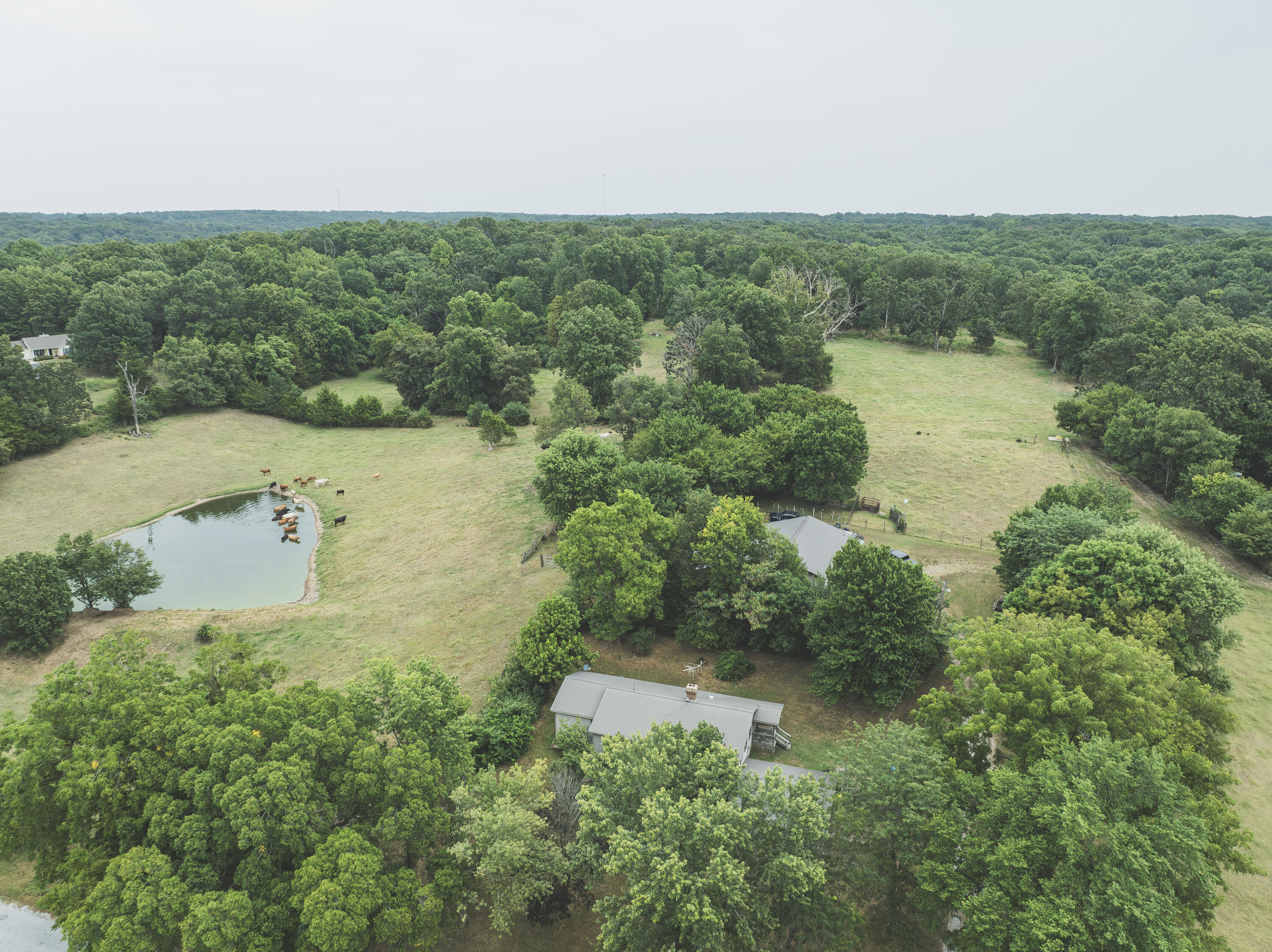 12471 Mallard Drive Property Photo 46