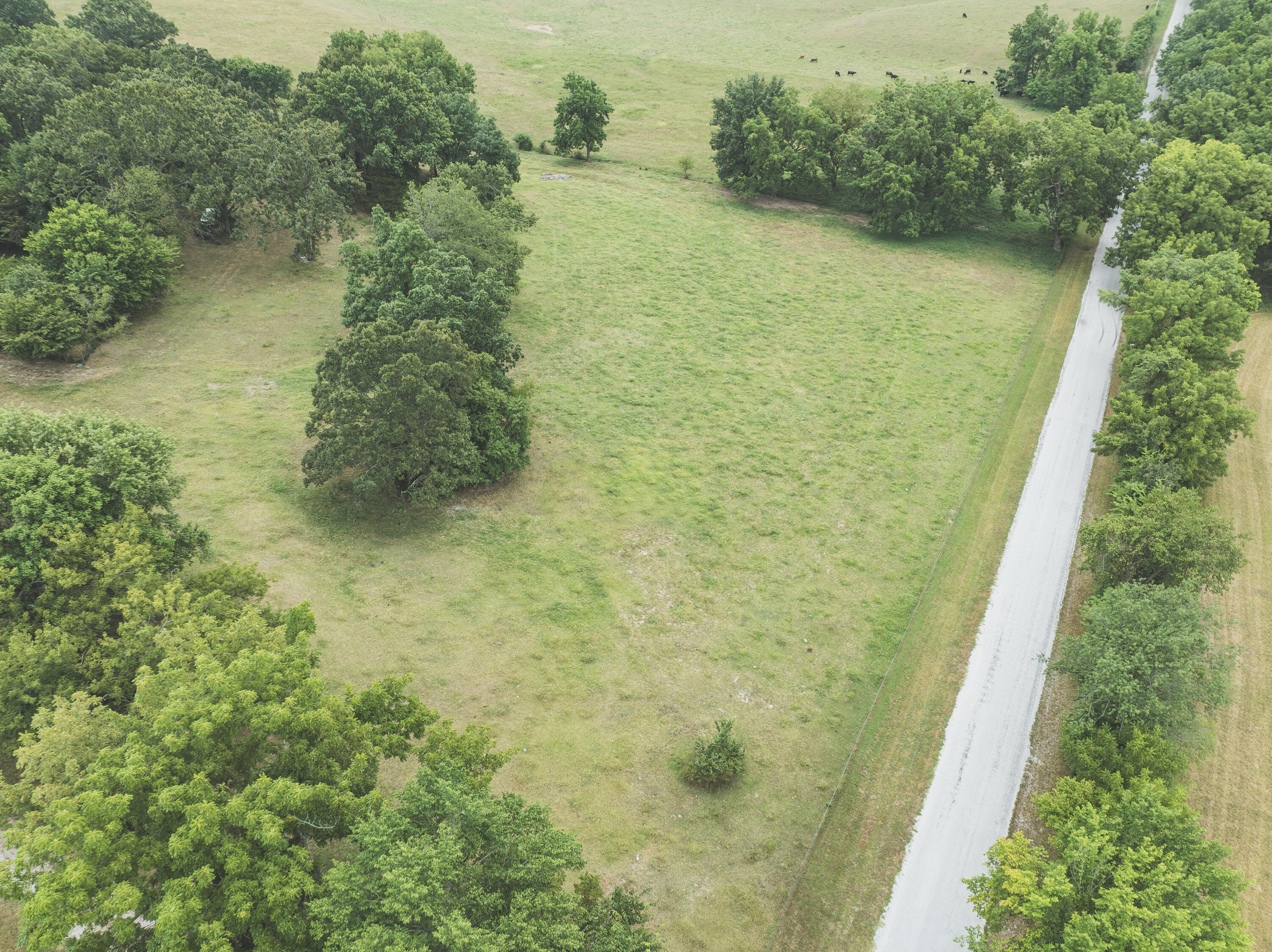 12471 Mallard Drive Property Photo 48