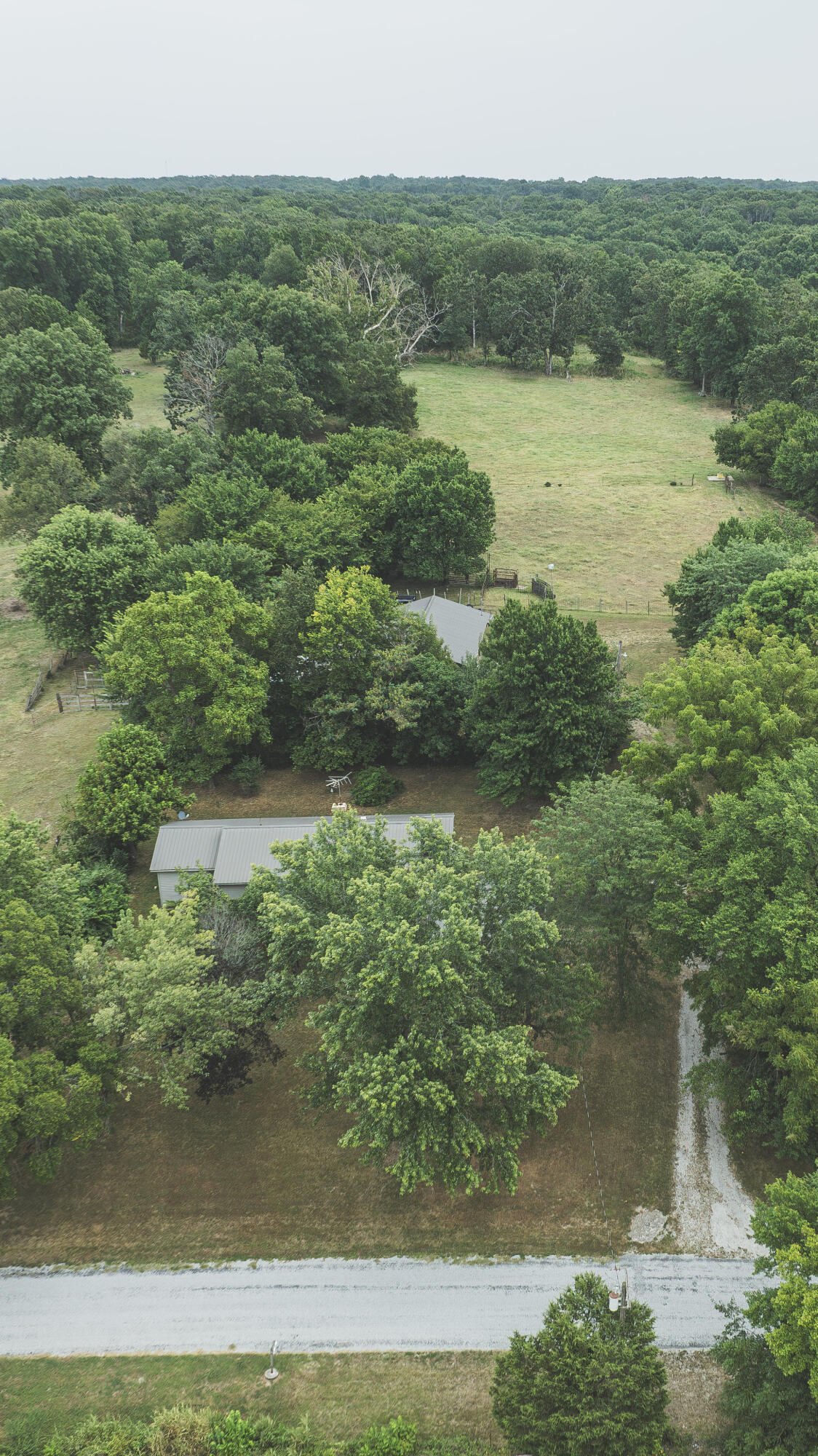 12471 Mallard Drive Property Photo 50