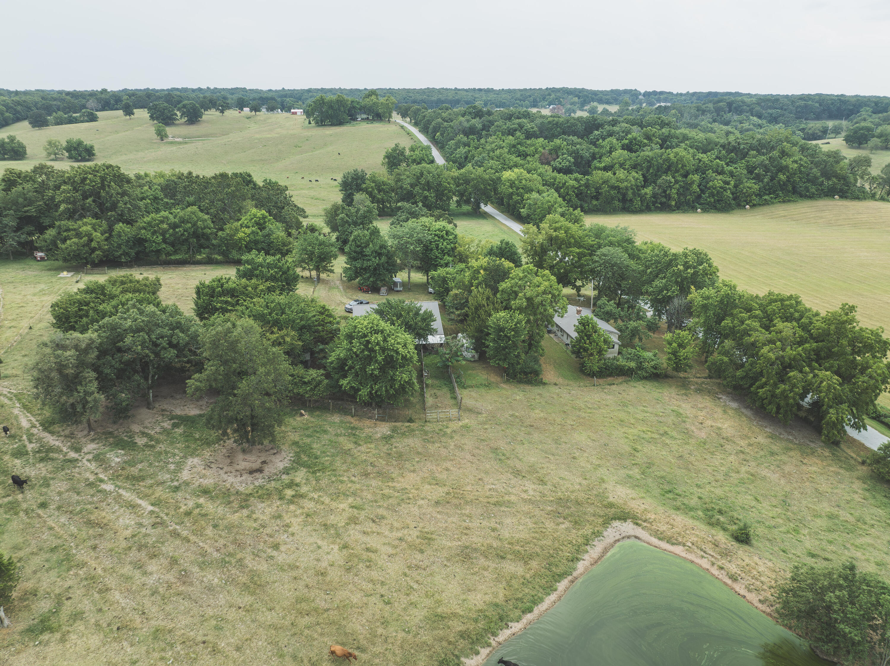 12471 Mallard Drive Property Photo 52
