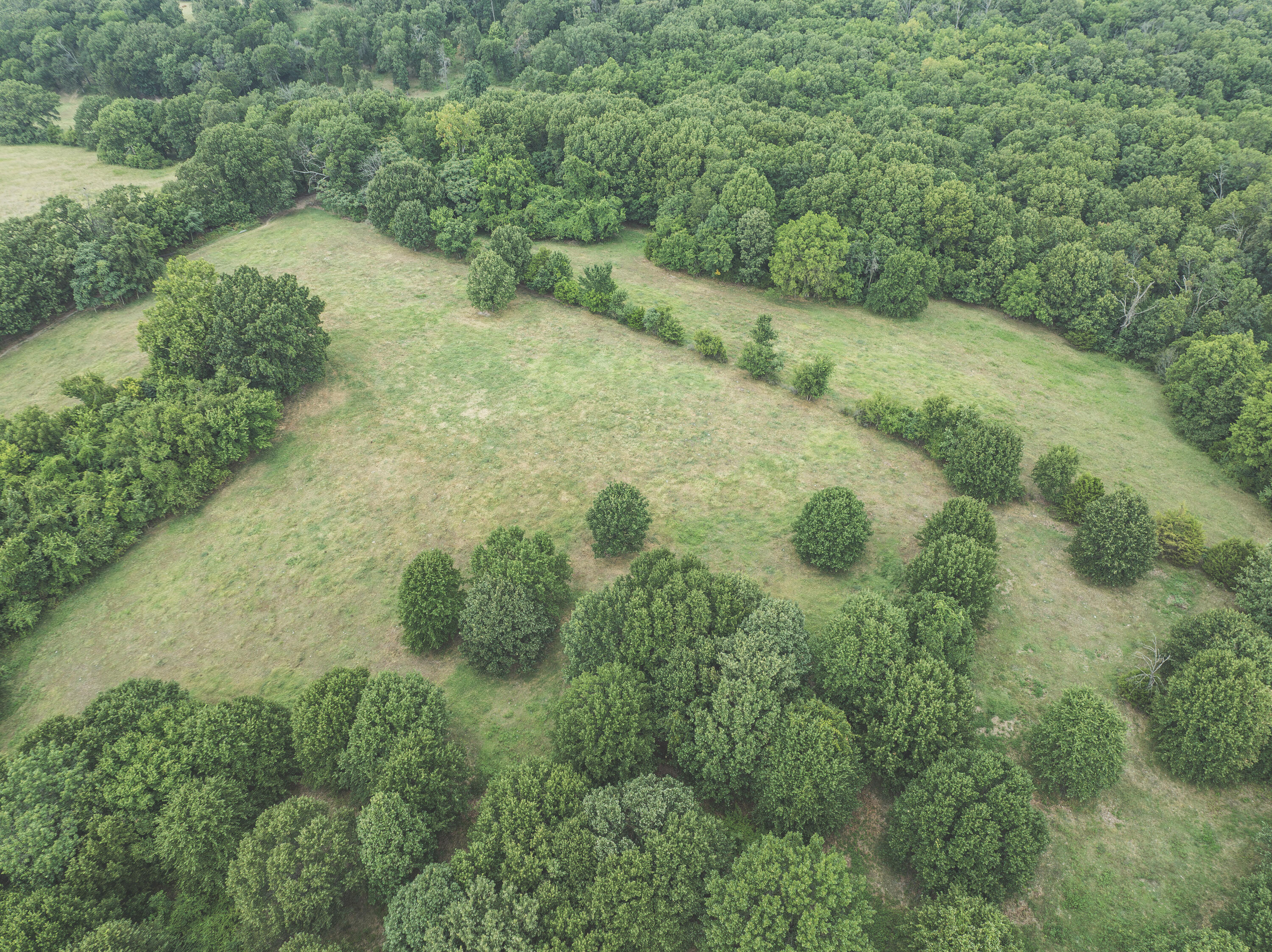 12471 Mallard Drive Property Photo 56