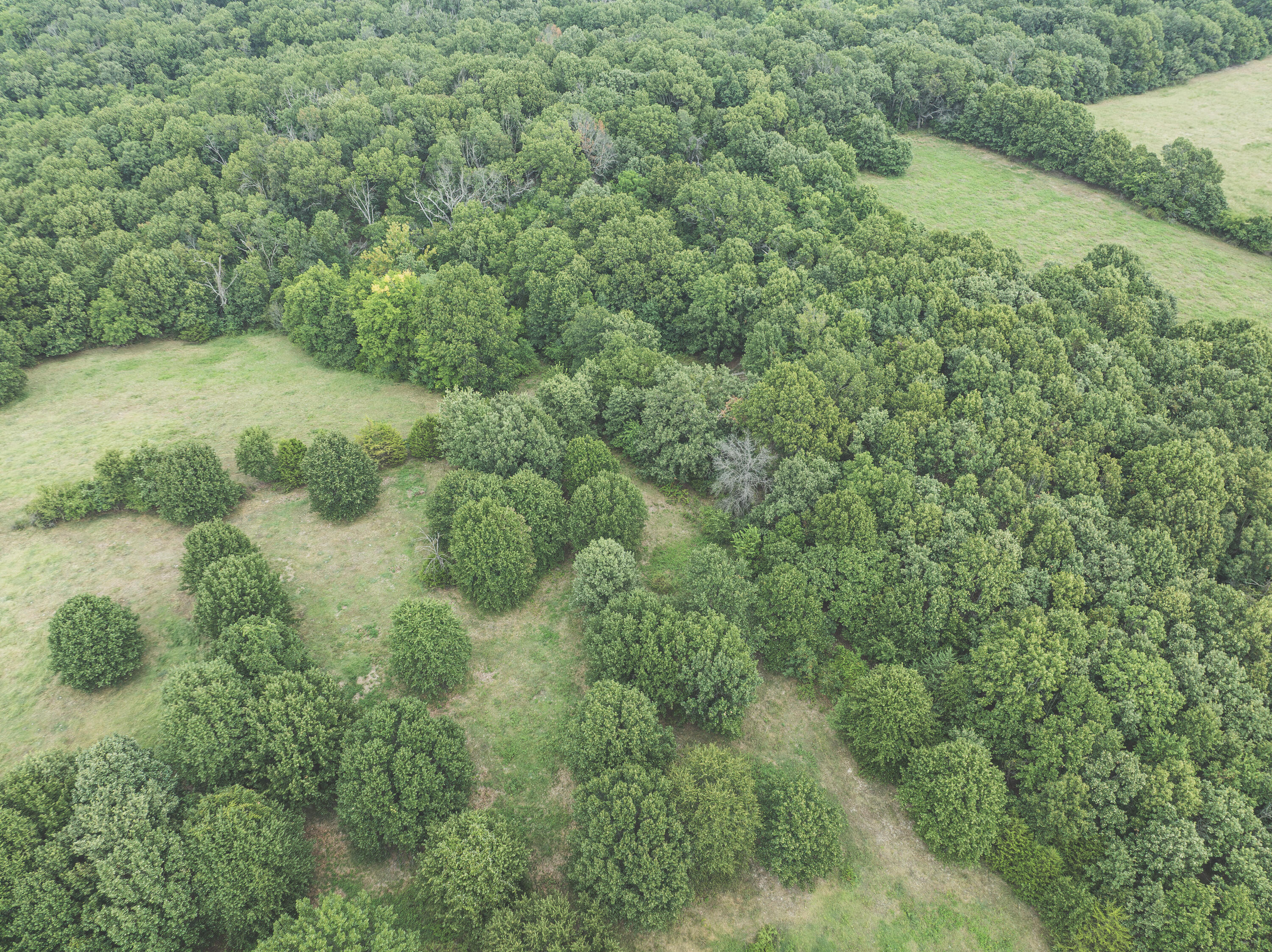 12471 Mallard Drive Property Photo 57
