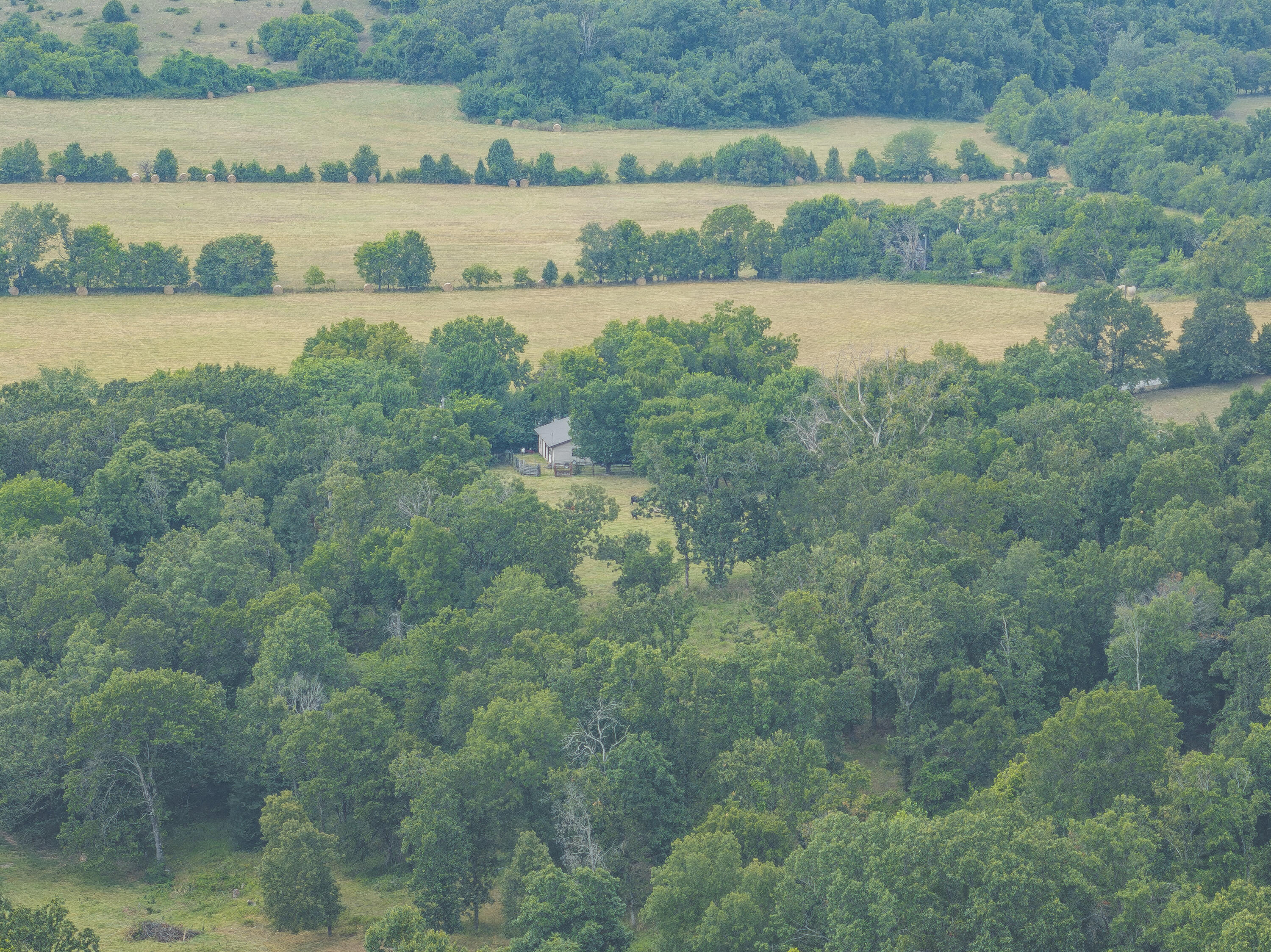 12471 Mallard Drive Property Photo 64