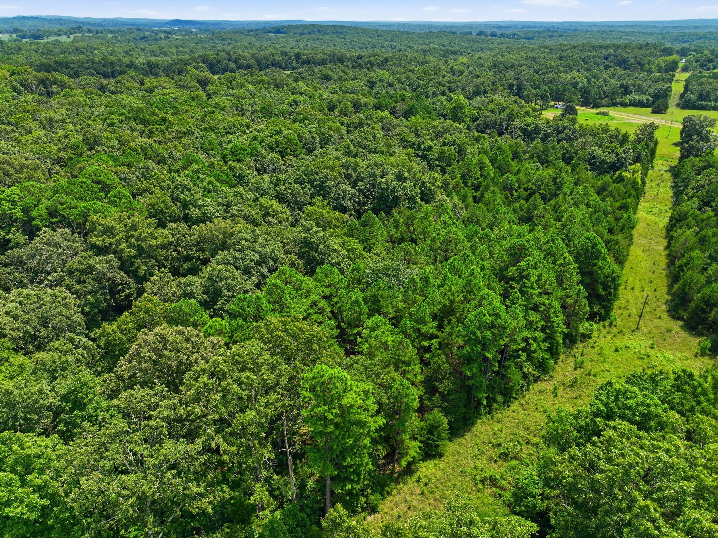 000 State Route 181 Property Photo 2