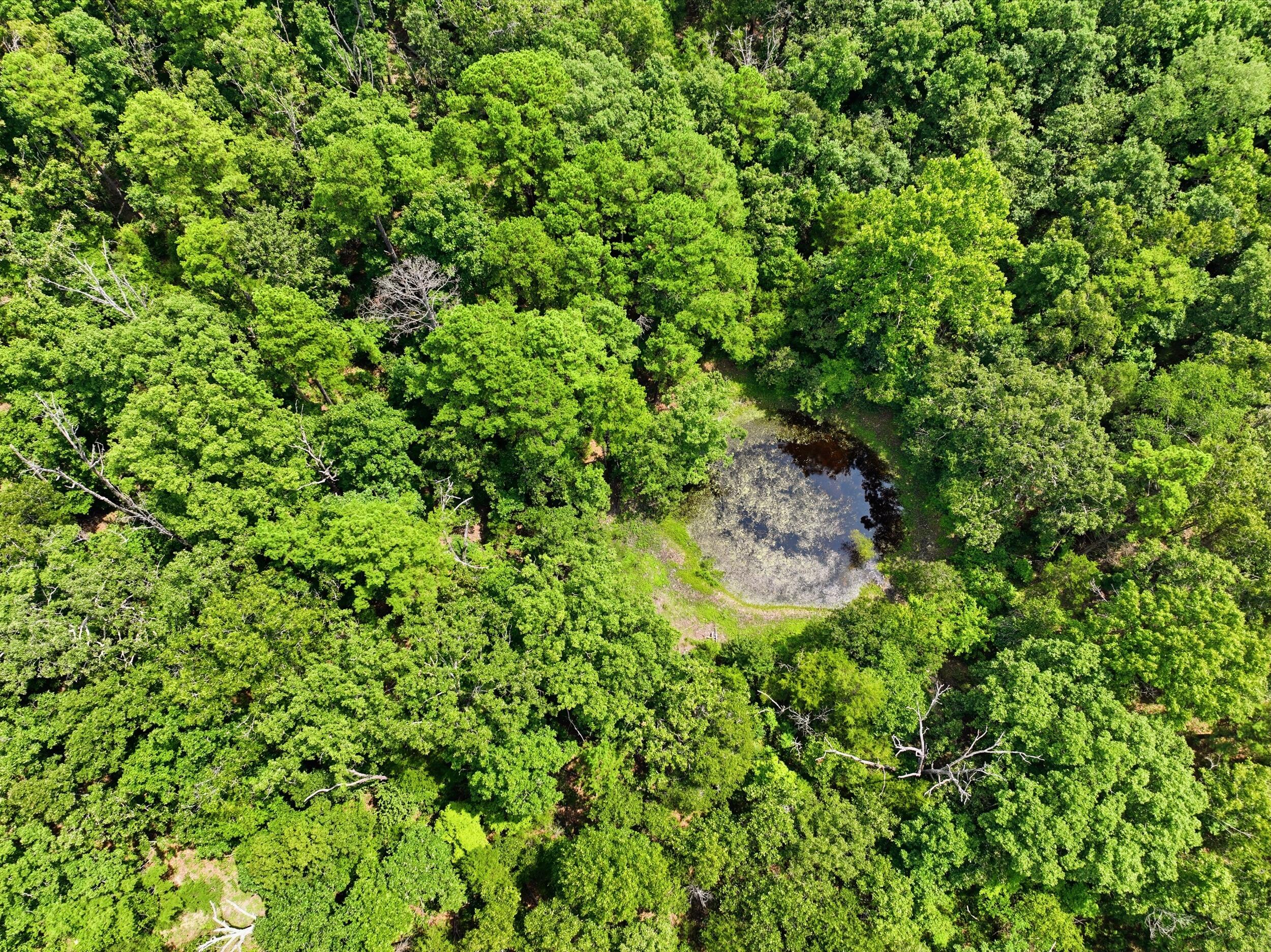 000 State Route 181 Property Photo 3