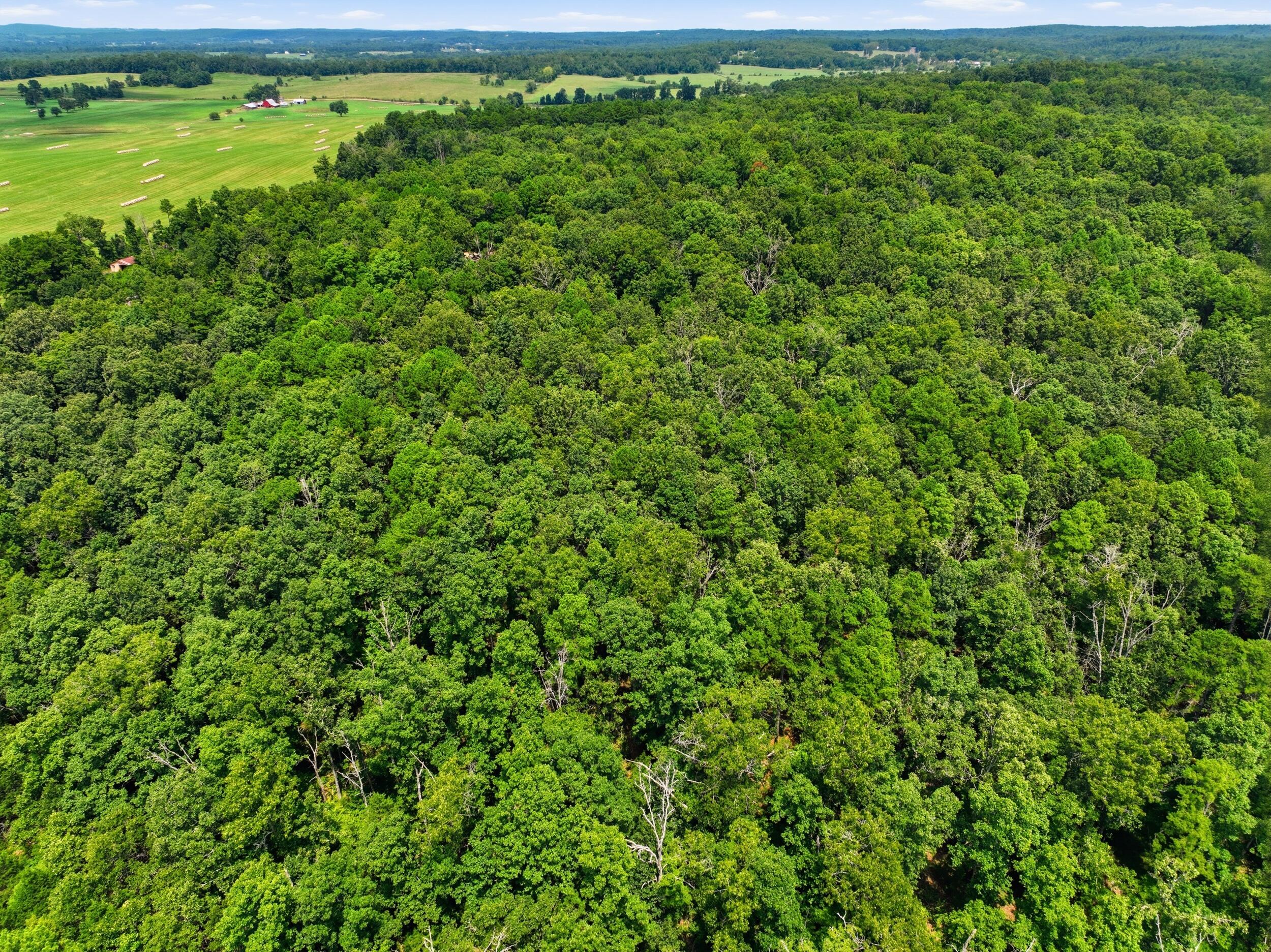 000 State Route 181 Property Photo 8