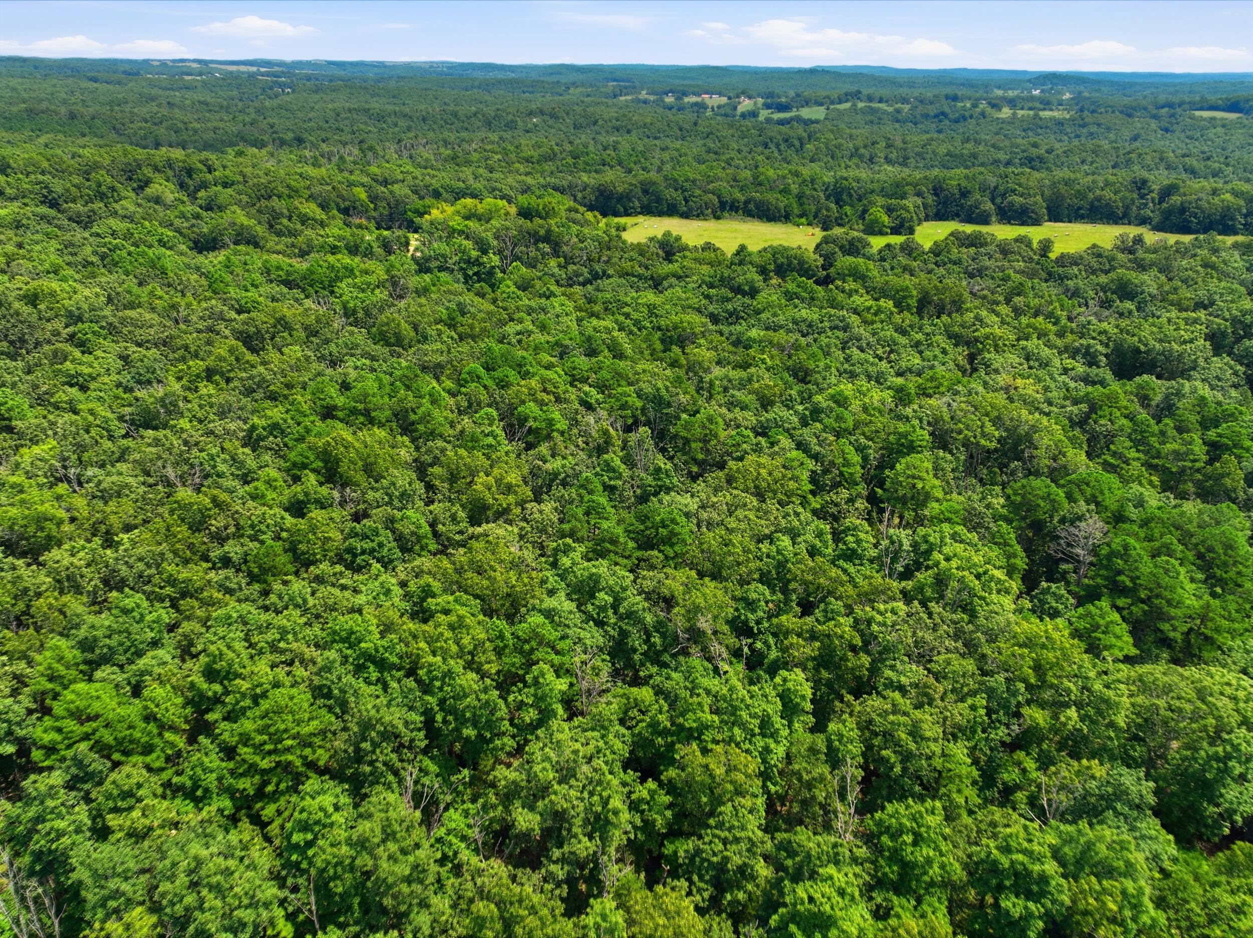 000 State Route 181 Property Photo 11