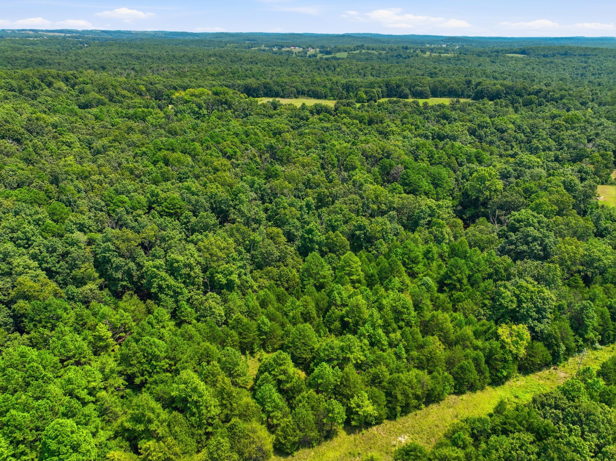 000 State Route 181 Property Photo 12