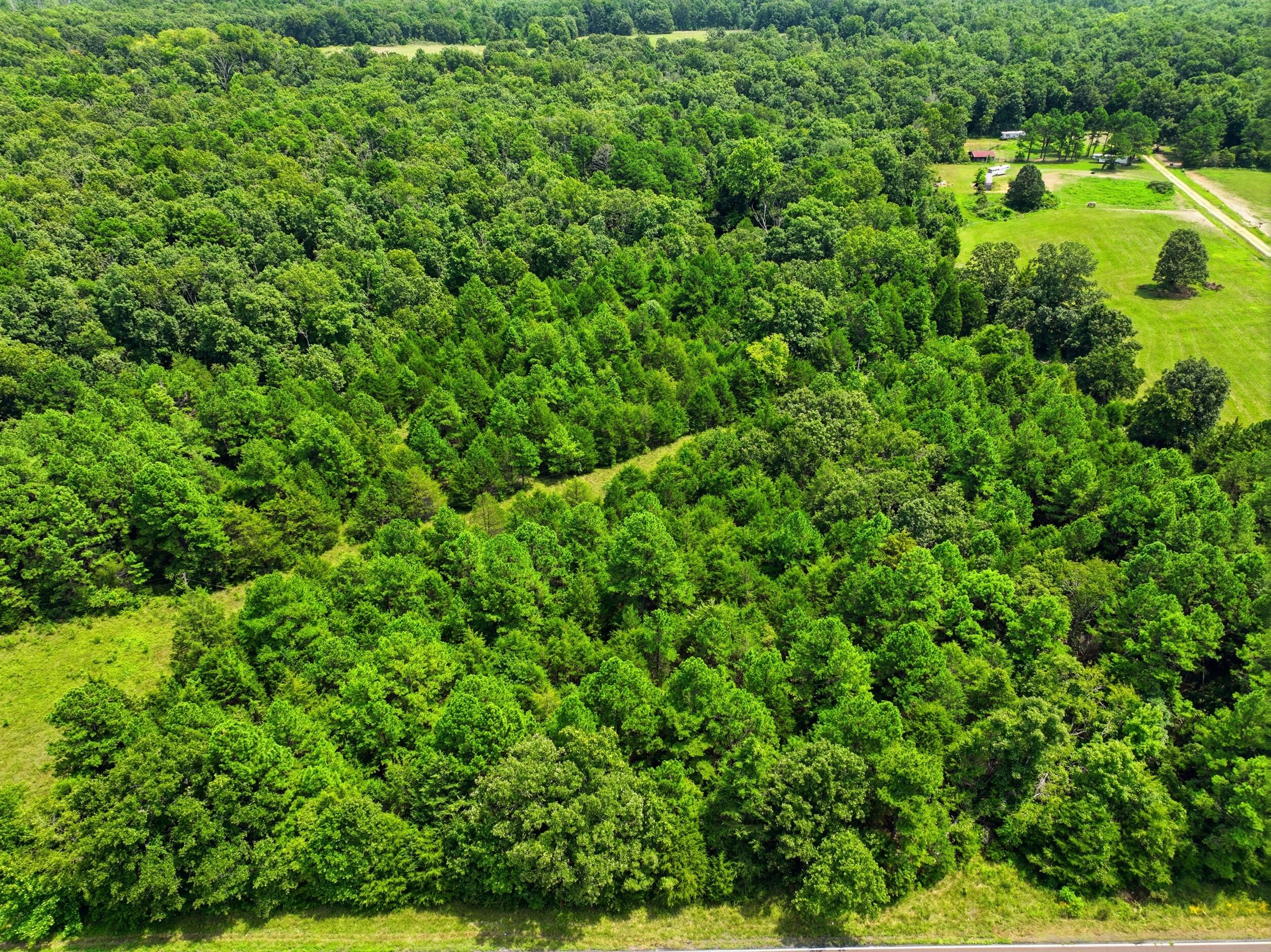 000 State Route 181 Property Photo 13