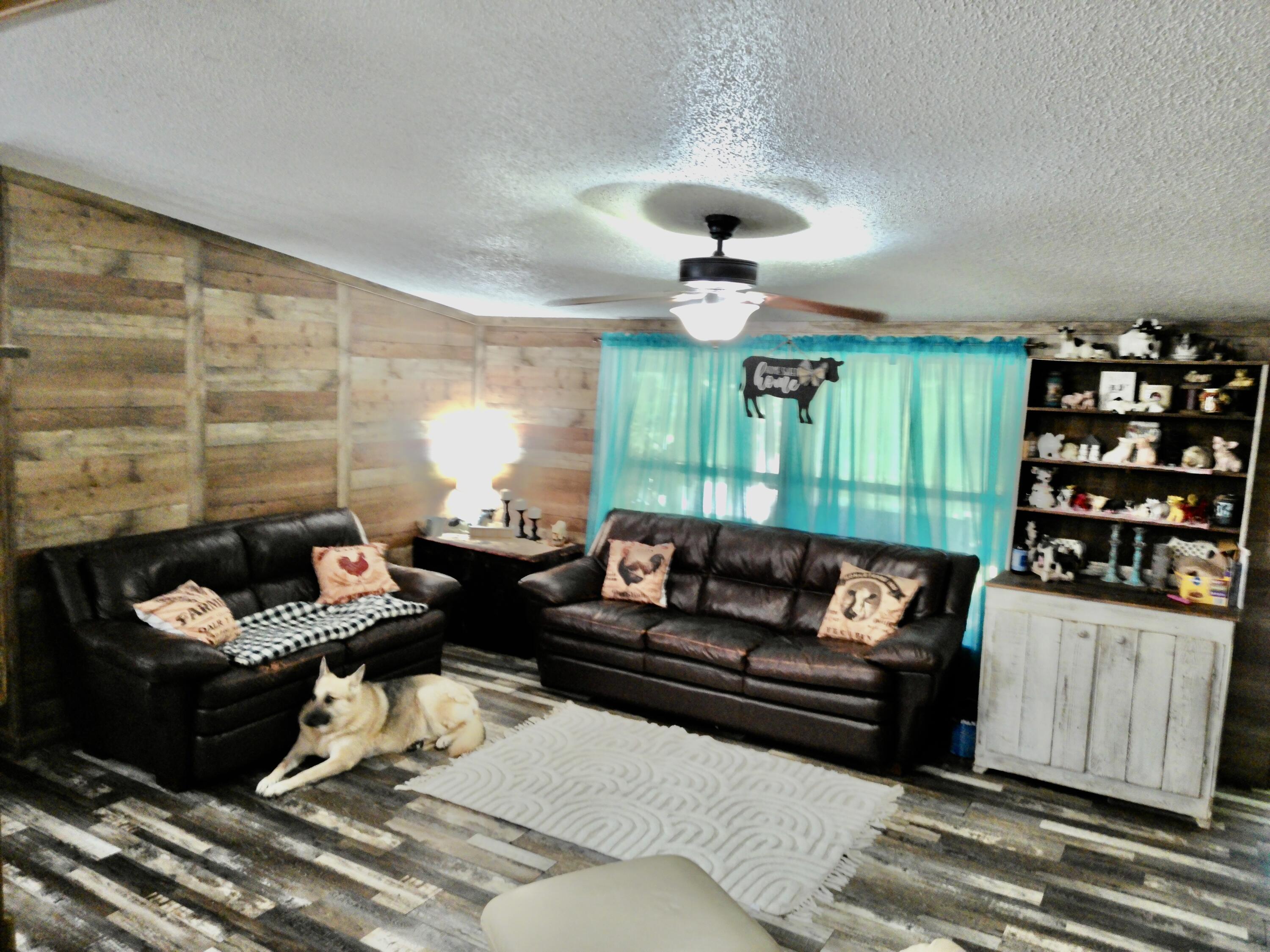 162 Spring Hill Road Property Photo 11