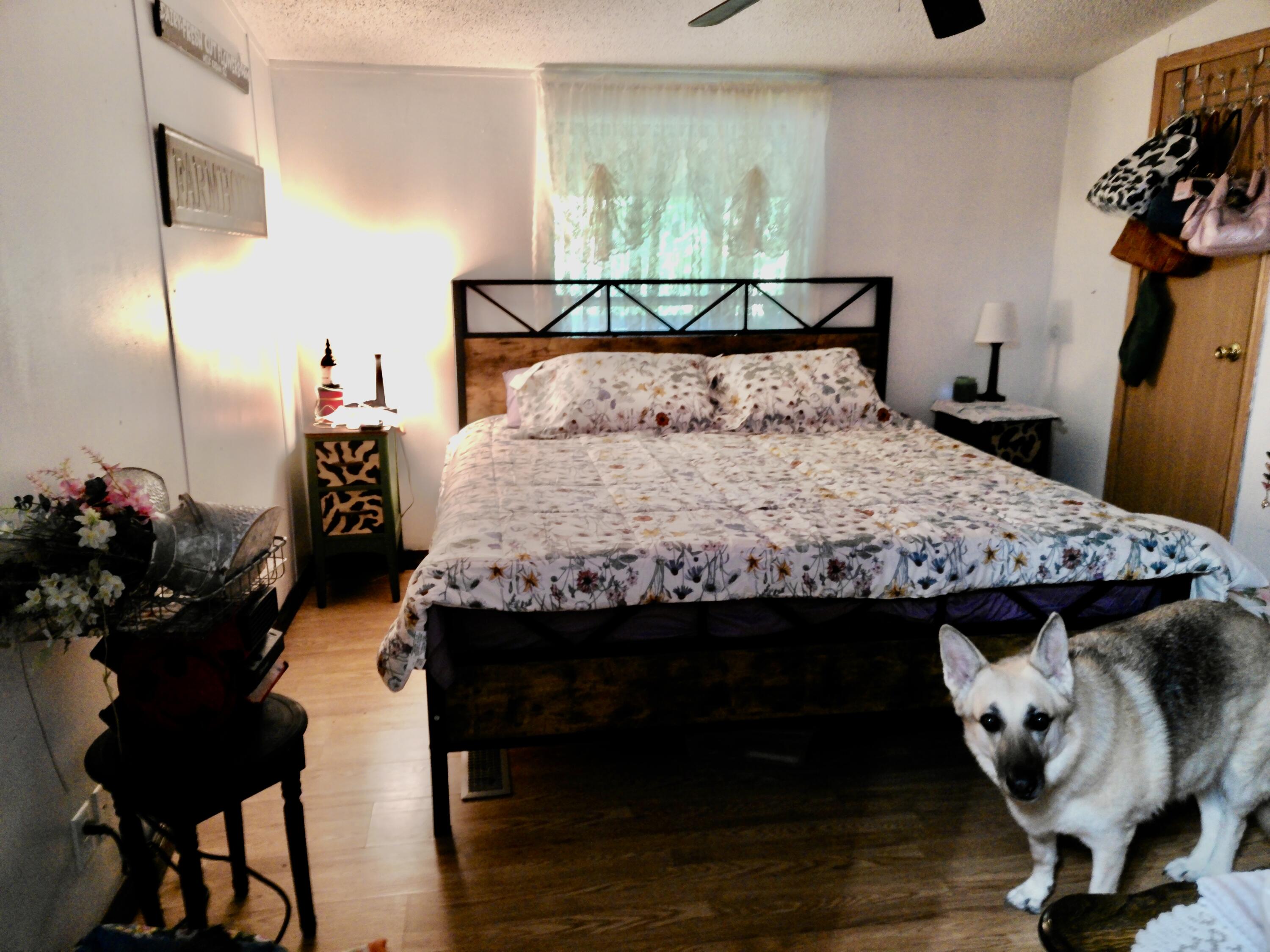 162 Spring Hill Road Property Photo 13