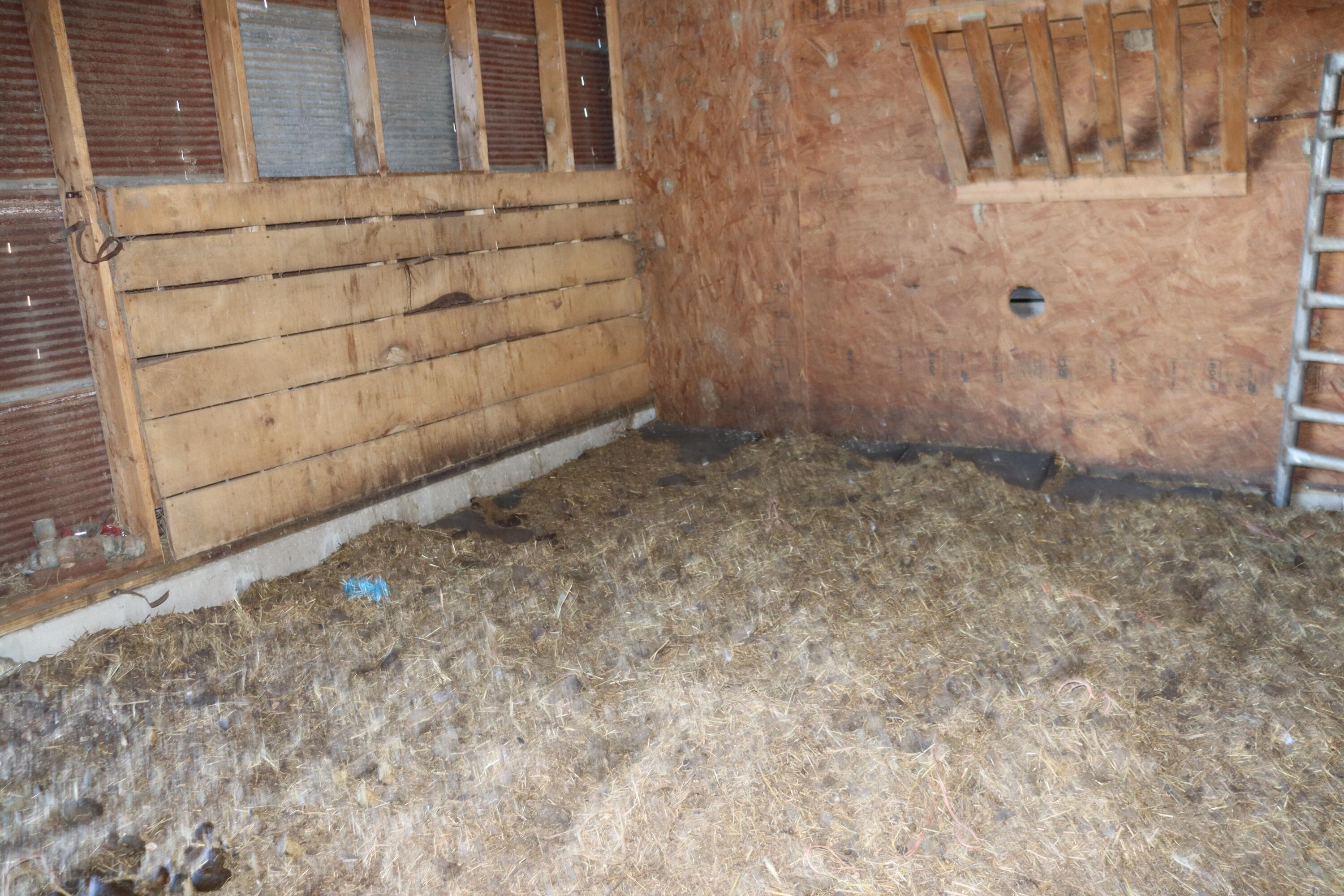 5256 Newton Road Property Photo 37