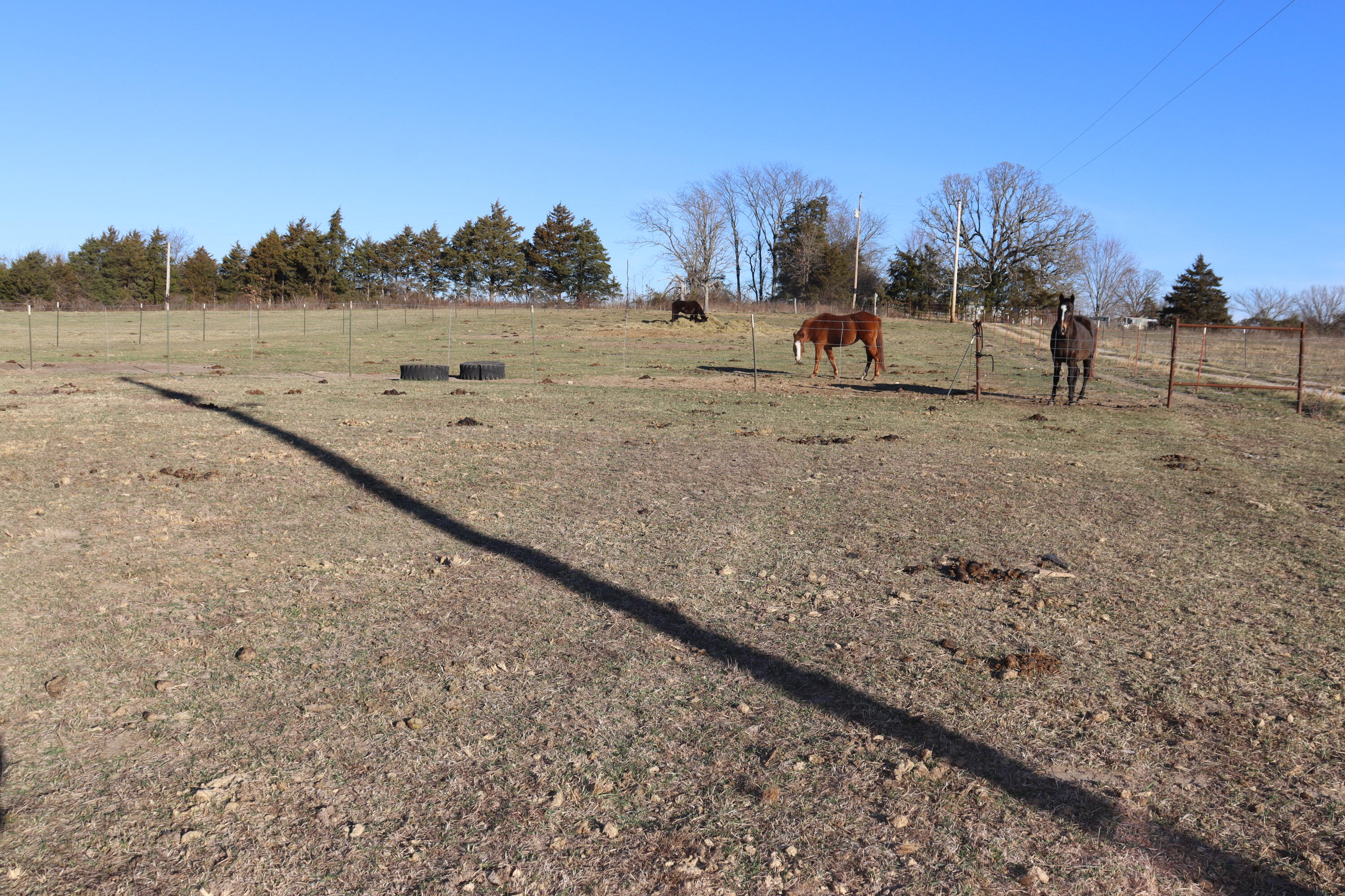 5256 Newton Road Property Photo 46
