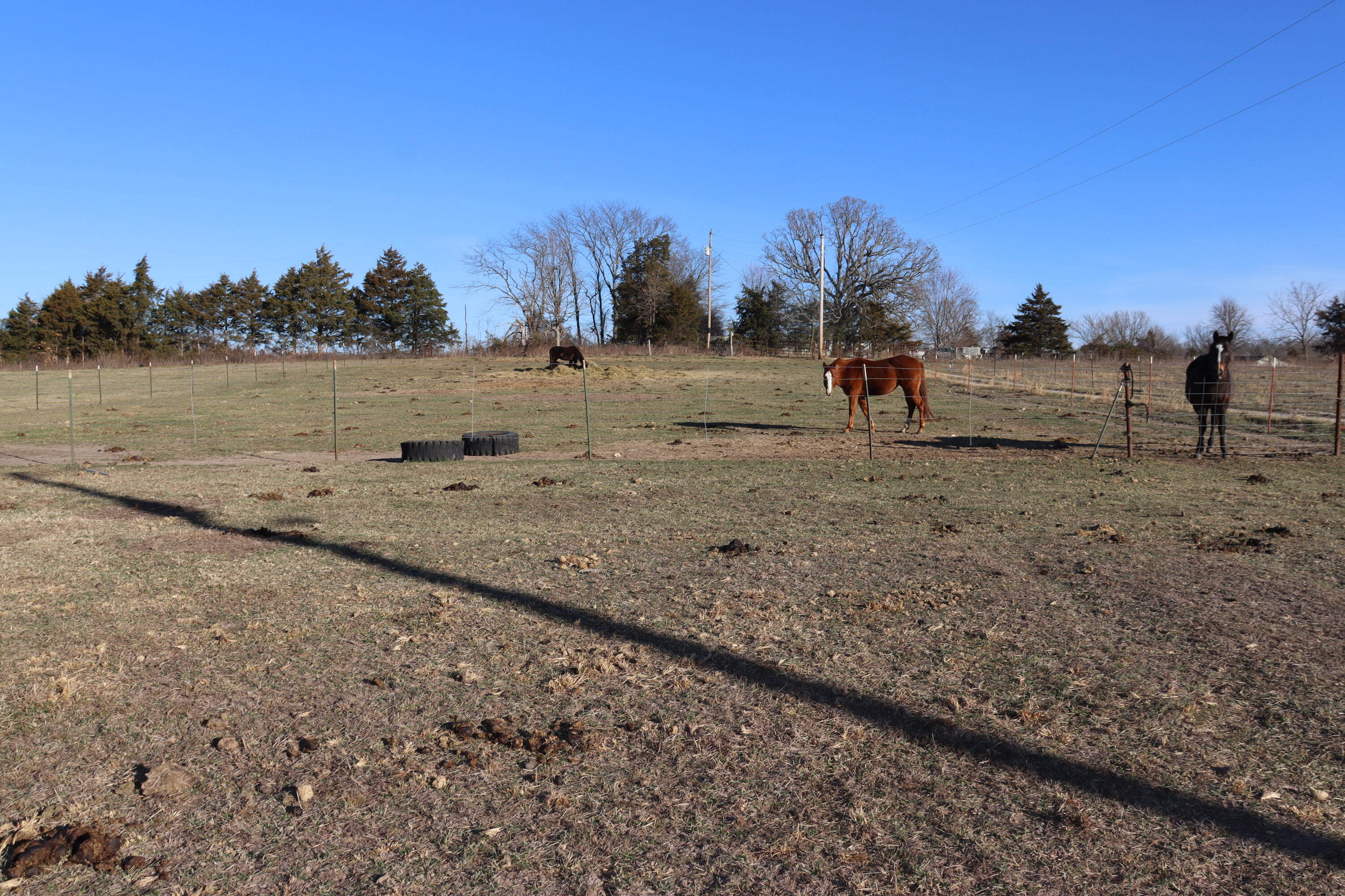 5256 Newton Road Property Photo 47