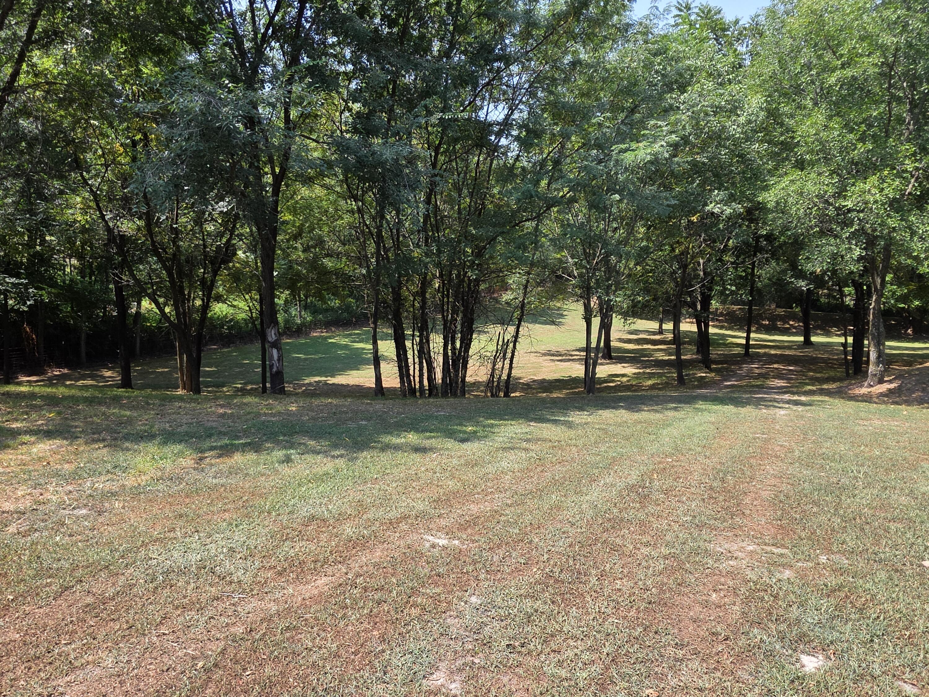 17664 Locust Road Property Photo 51