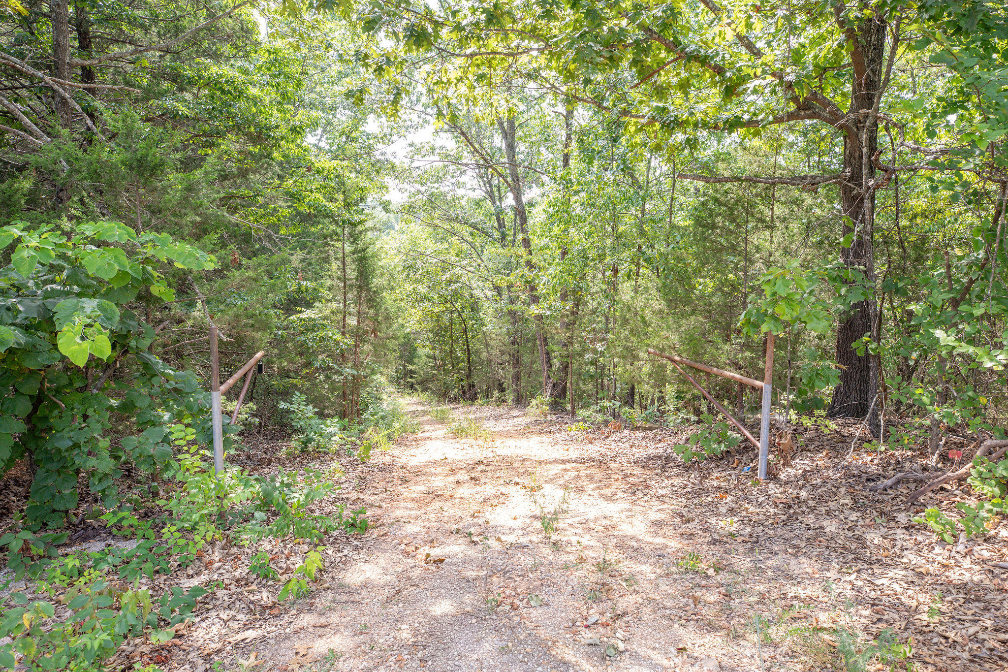 19 Moore Lane Property Photo 11