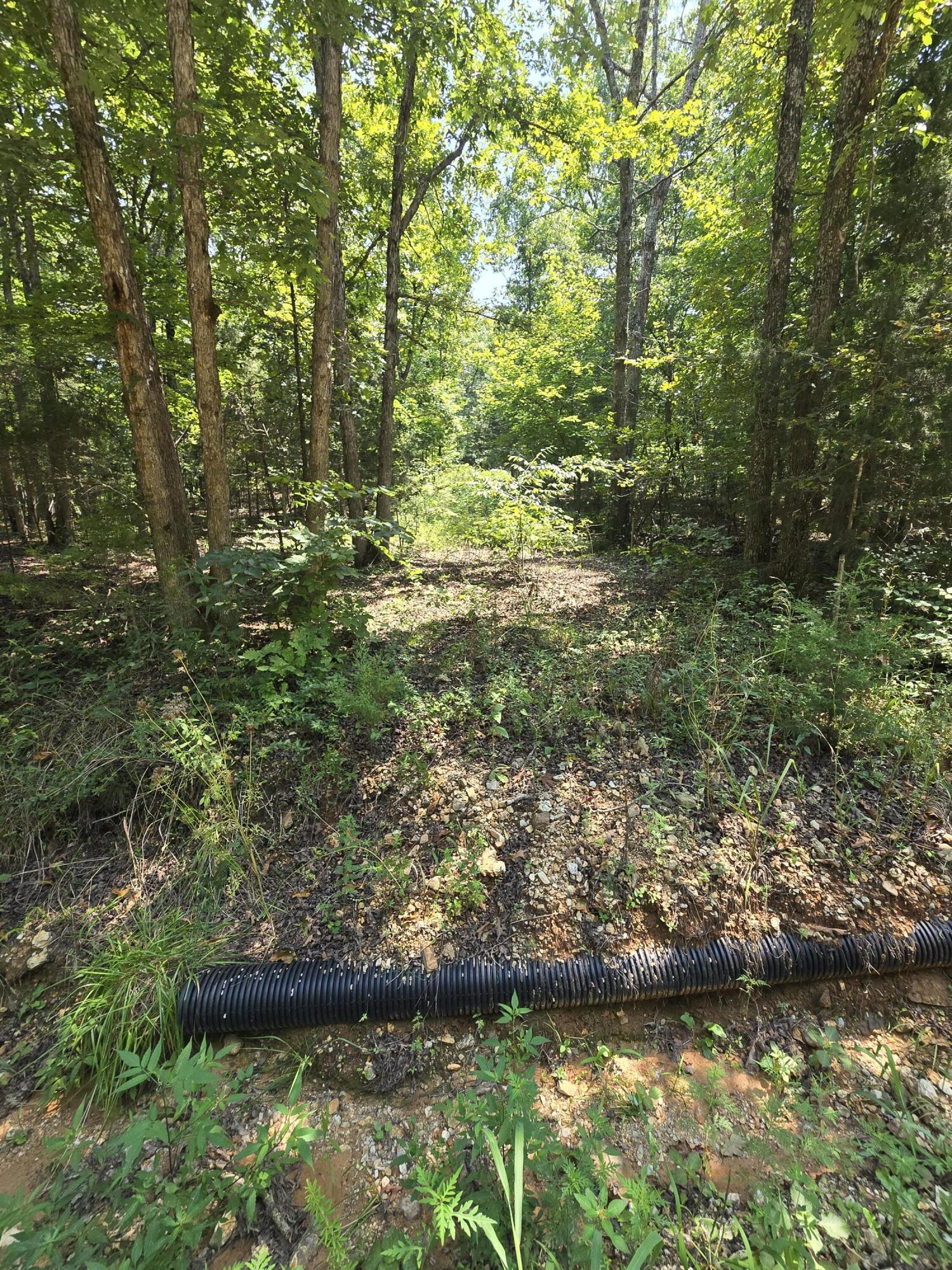 0001 County Road 421 Property Photo 1