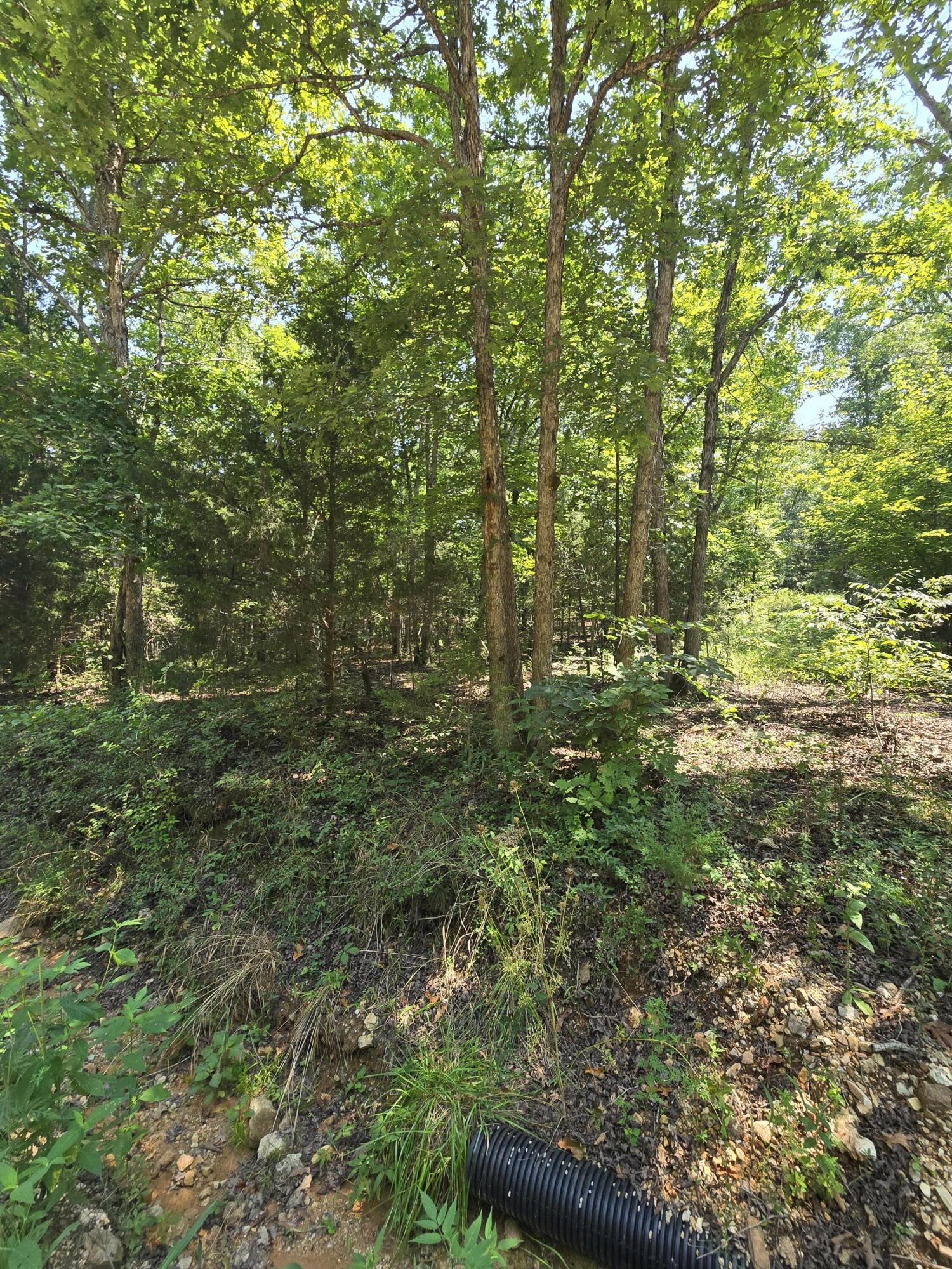 0001 County Road 421 Property Photo 3
