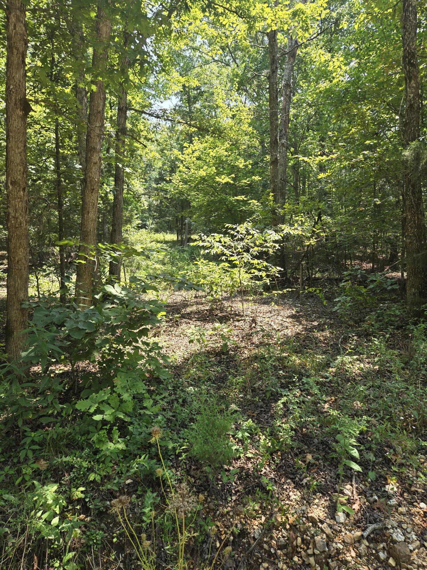 0001 County Road 421 Property Photo 6