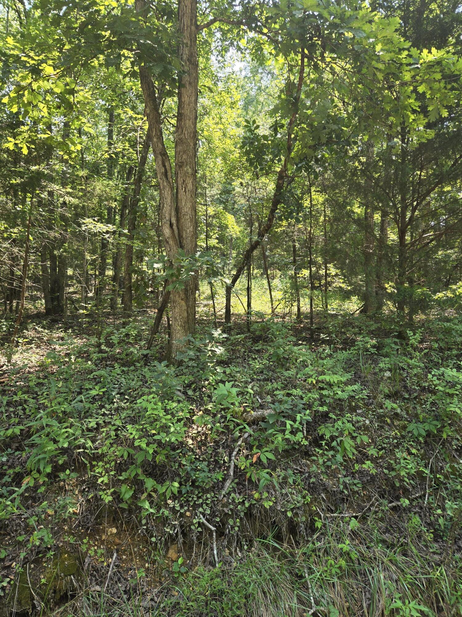 0001 County Road 421 Property Photo 7