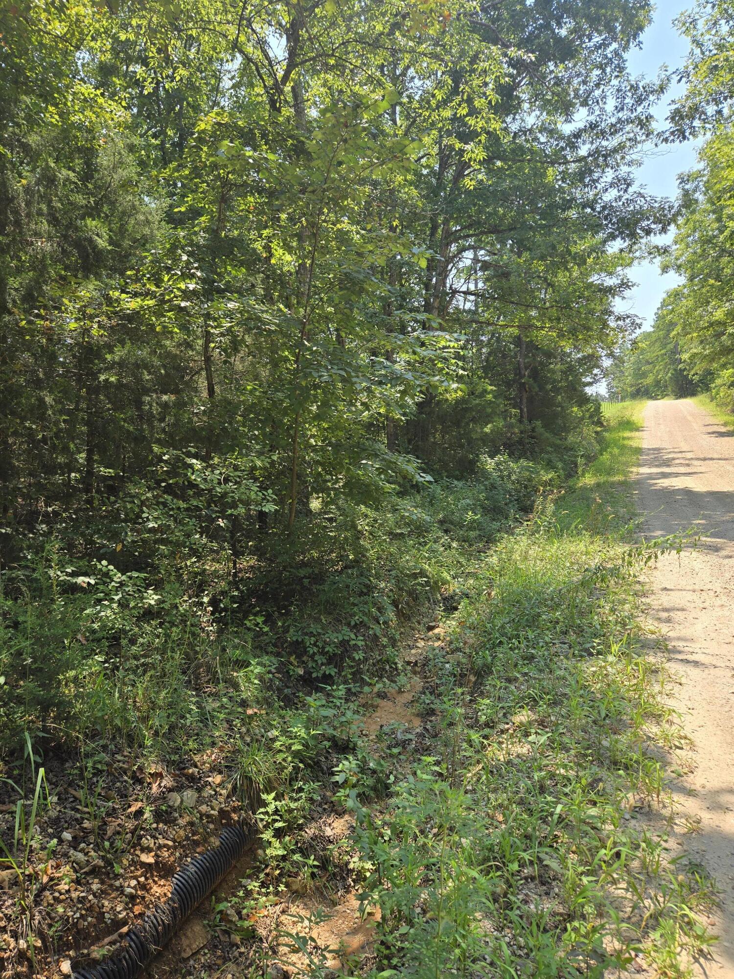 0001 County Road 421 Property Photo 10