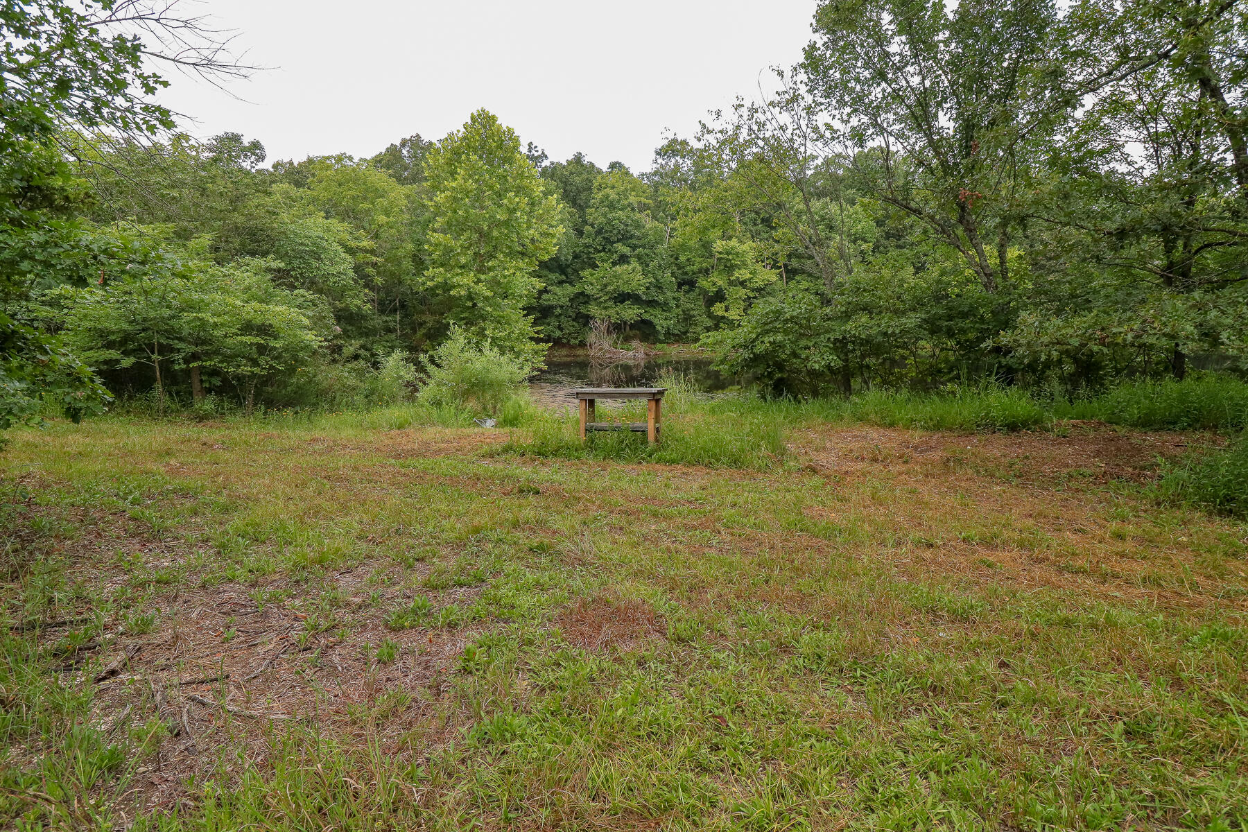 000 County Road 1220 Property Photo 32
