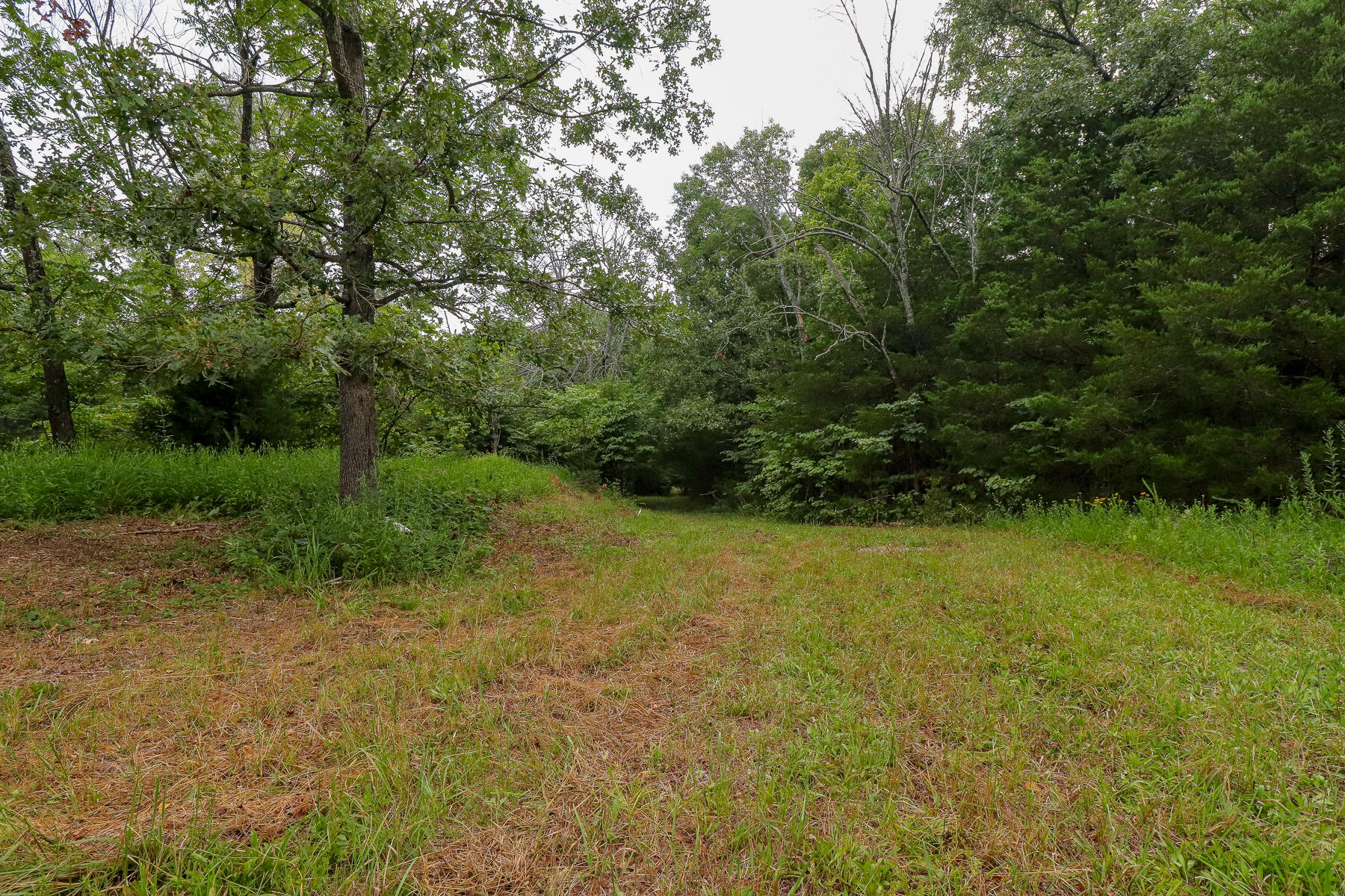 000 County Road 1220 Property Photo 33