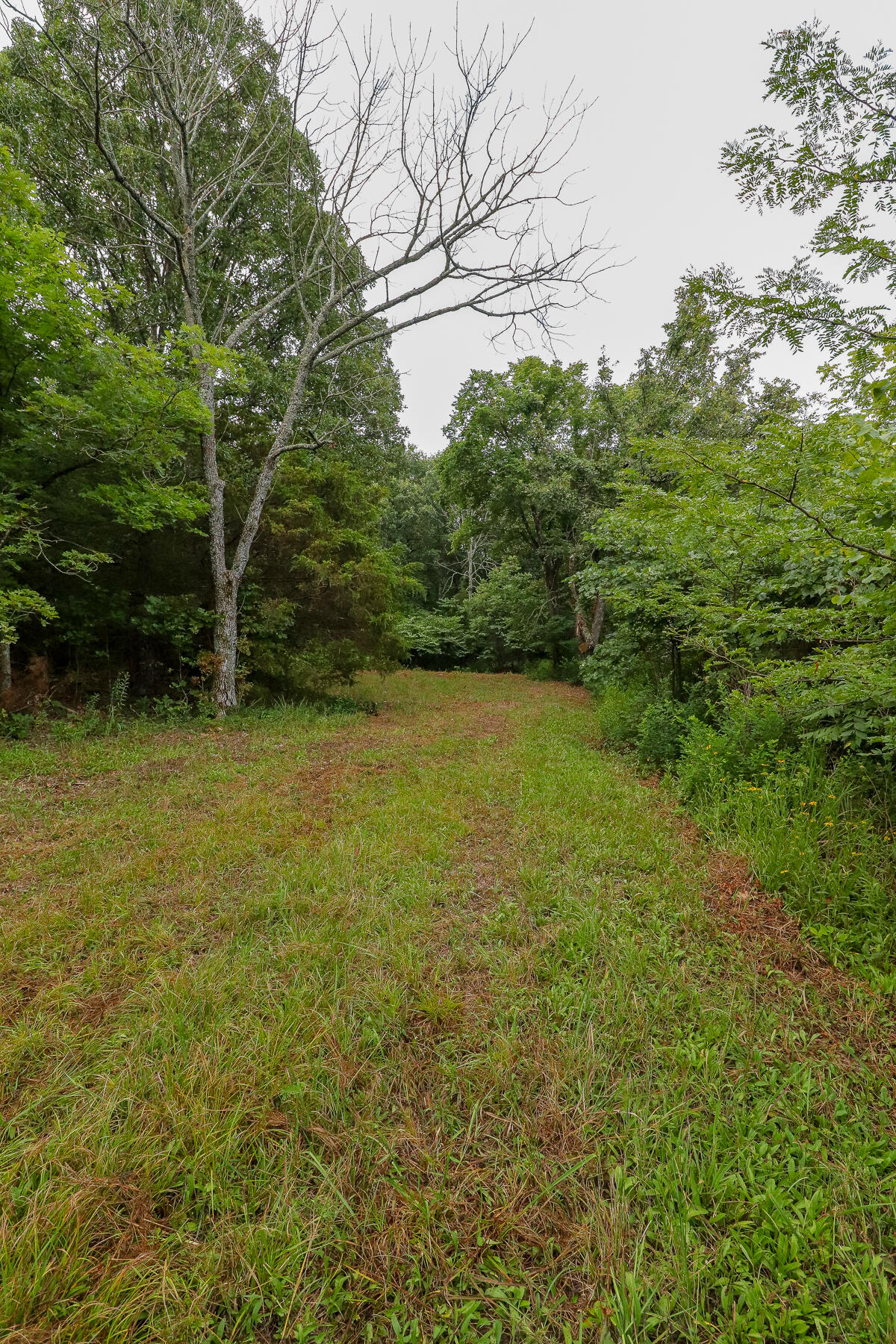 000 County Road 1220 Property Photo 34