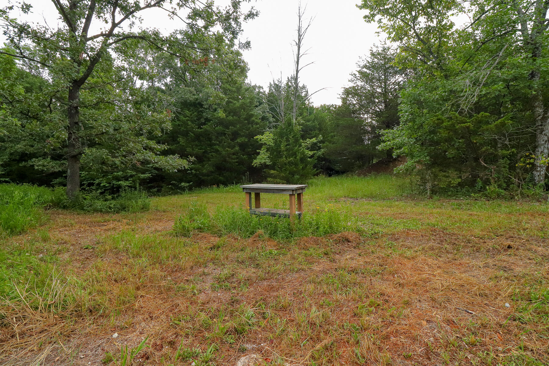000 County Road 1220 Property Photo 36