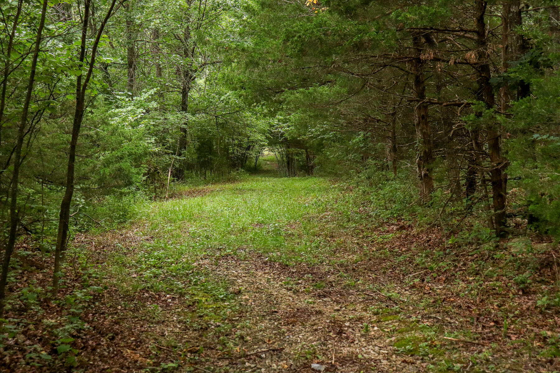 000 County Road 1220 Property Photo 37
