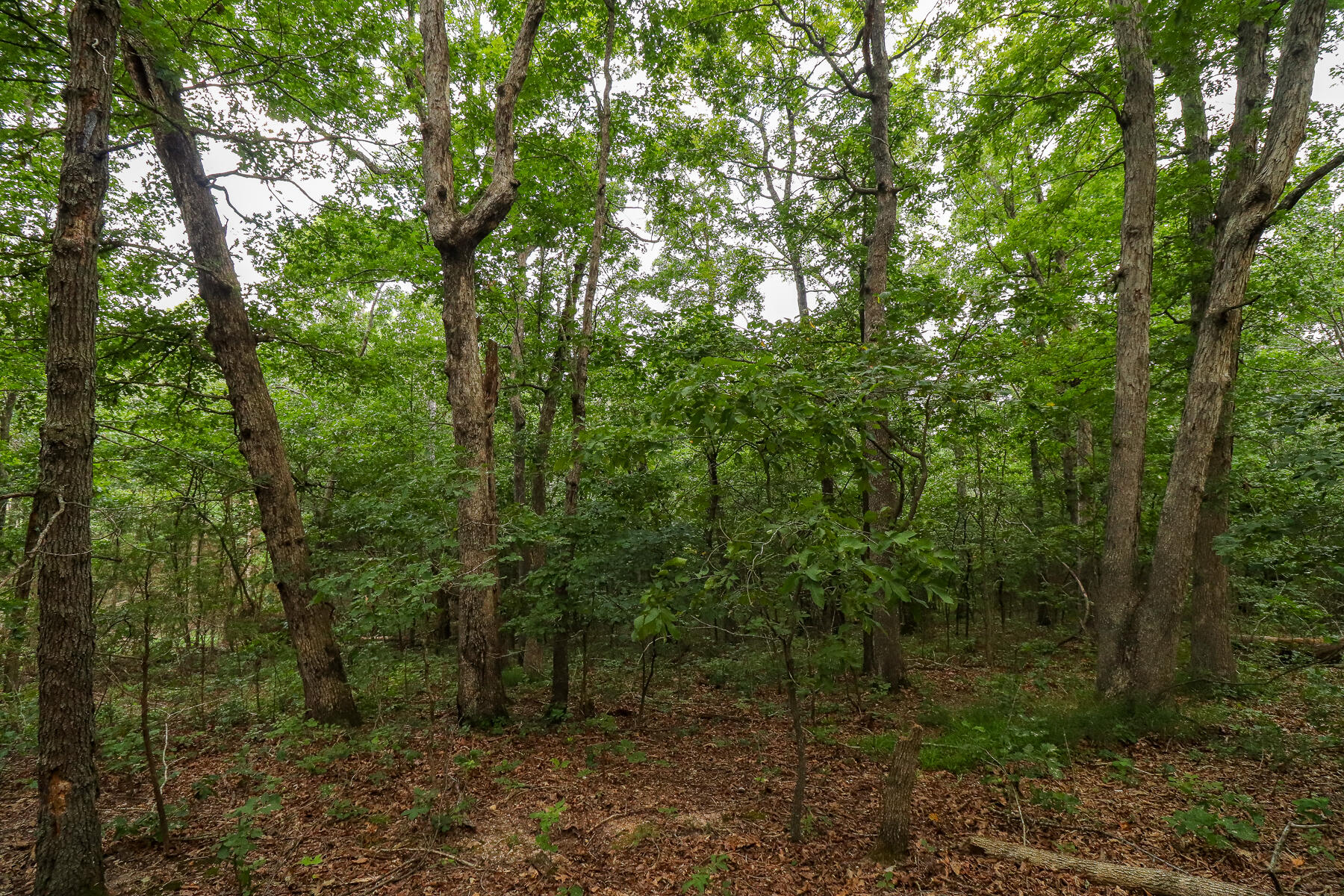 000 County Road 1220 Property Photo 43