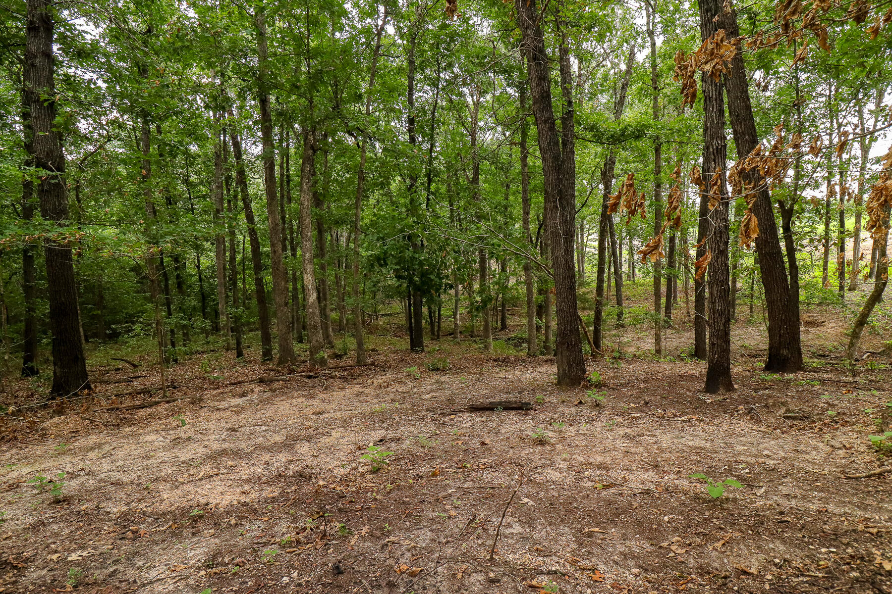000 County Road 1220 Property Photo 47